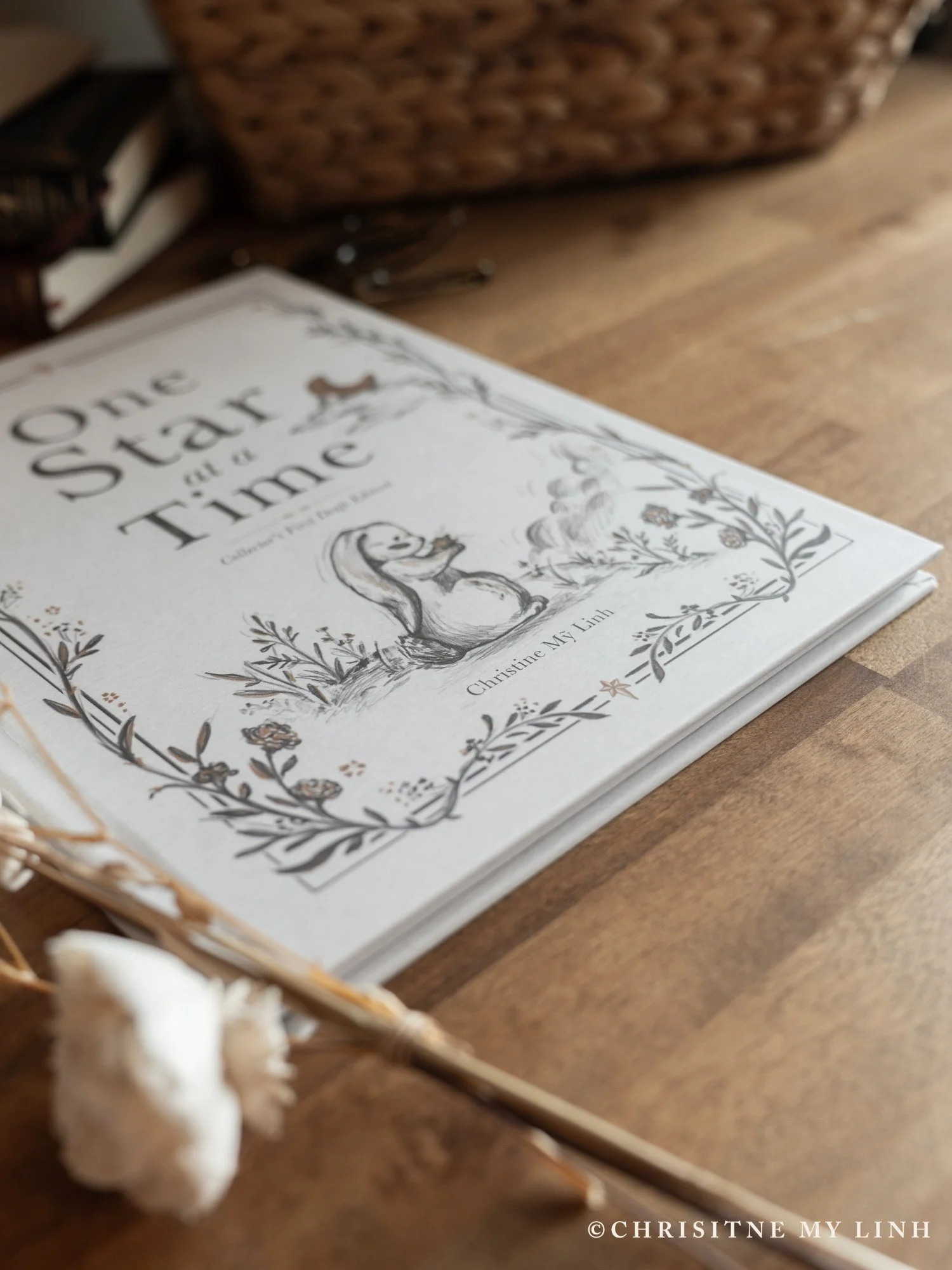 One Star at a Time Book Photo-1.jpg