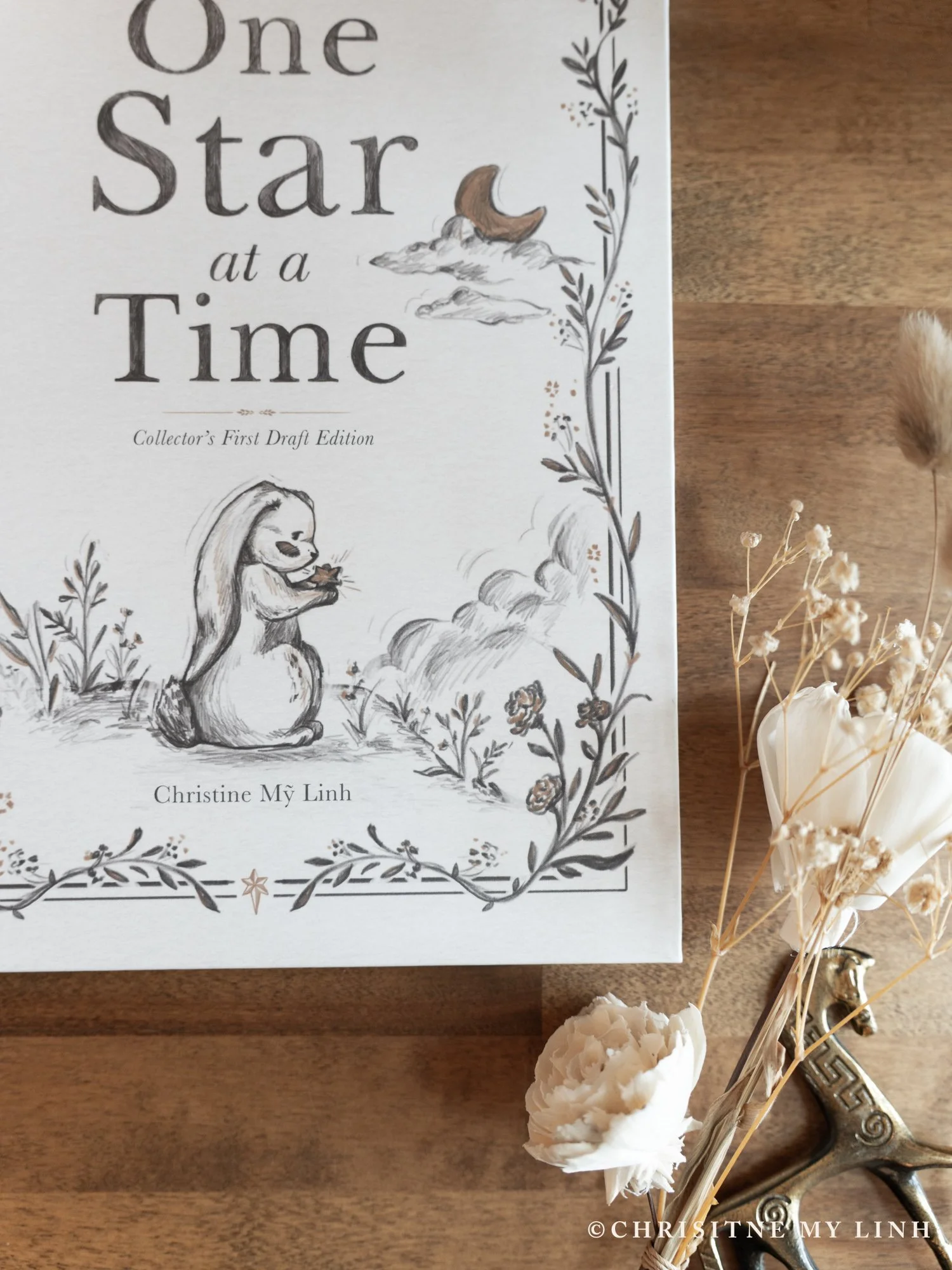 One Star at a Time Book Photo-7.jpg