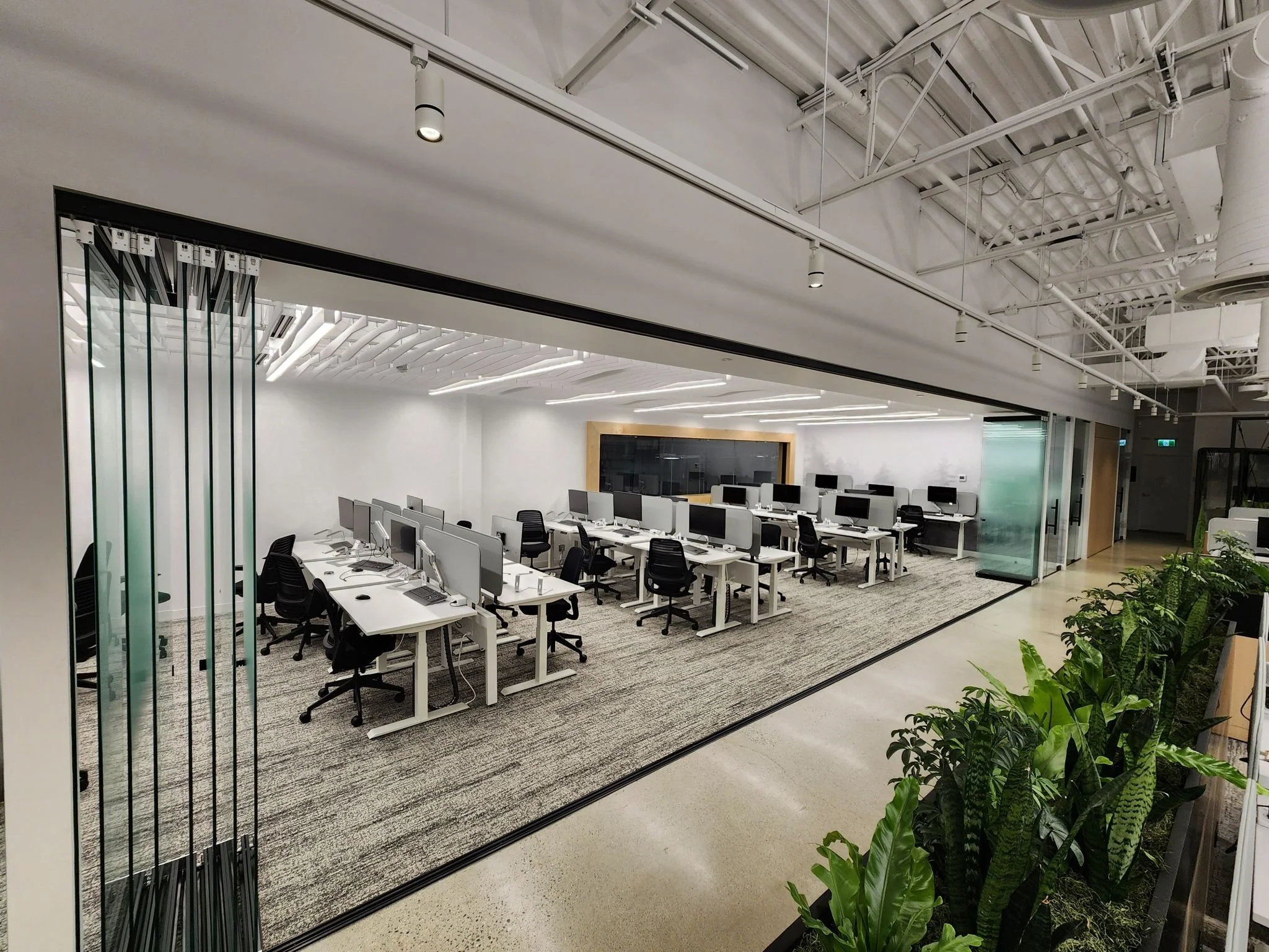 Modern office workspace with multiple white desks, black chairs, and desktop computers arranged in rows. Glass partition walls enclose the office area, with a view of an open corridor and potted green plants outside.