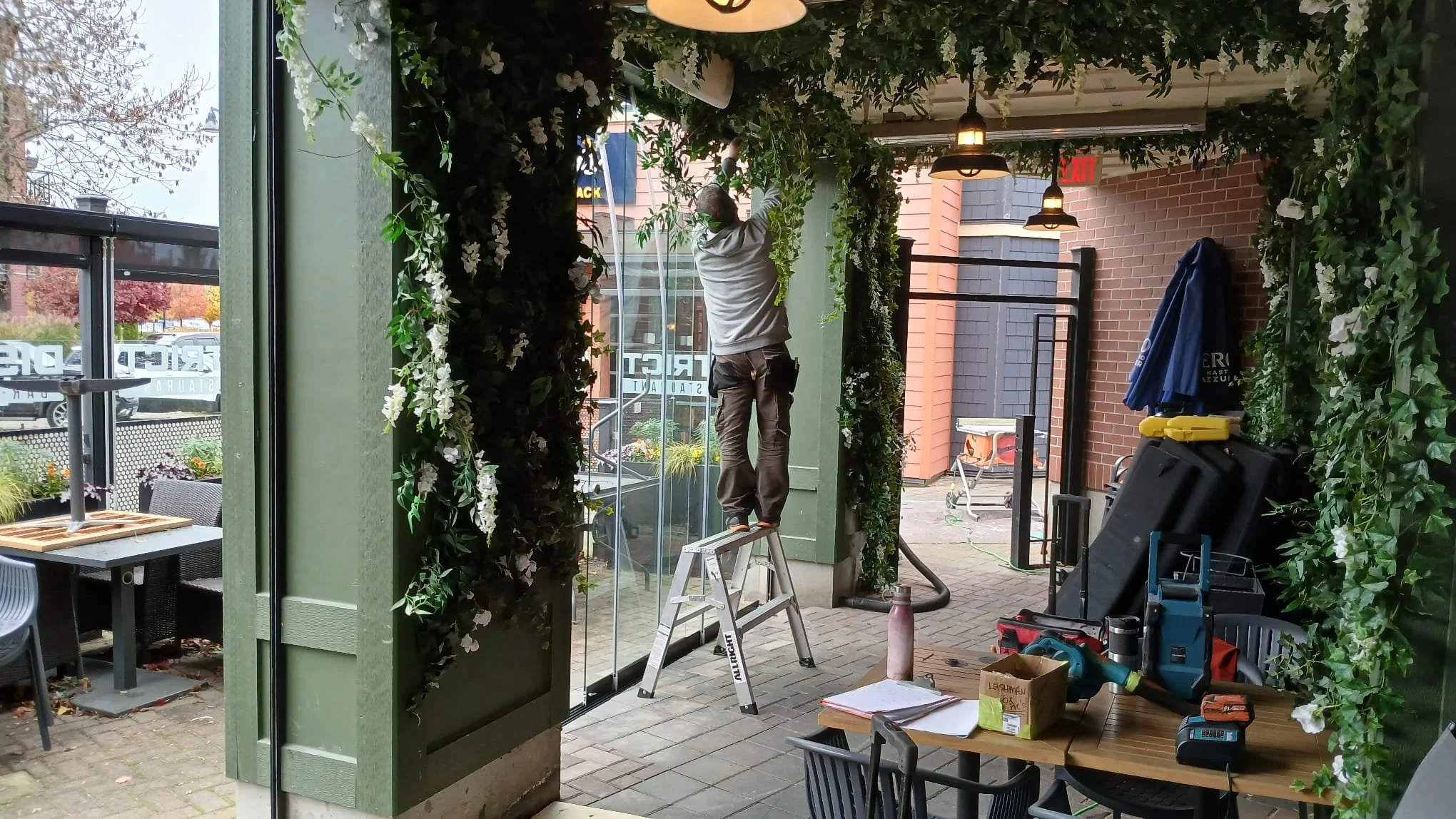 A man standing on a step ladder installing or maintaining greenery or decorations inside a restaurant or cafe. The space has large glass windows, table with papers and tools, and decorative foliage.