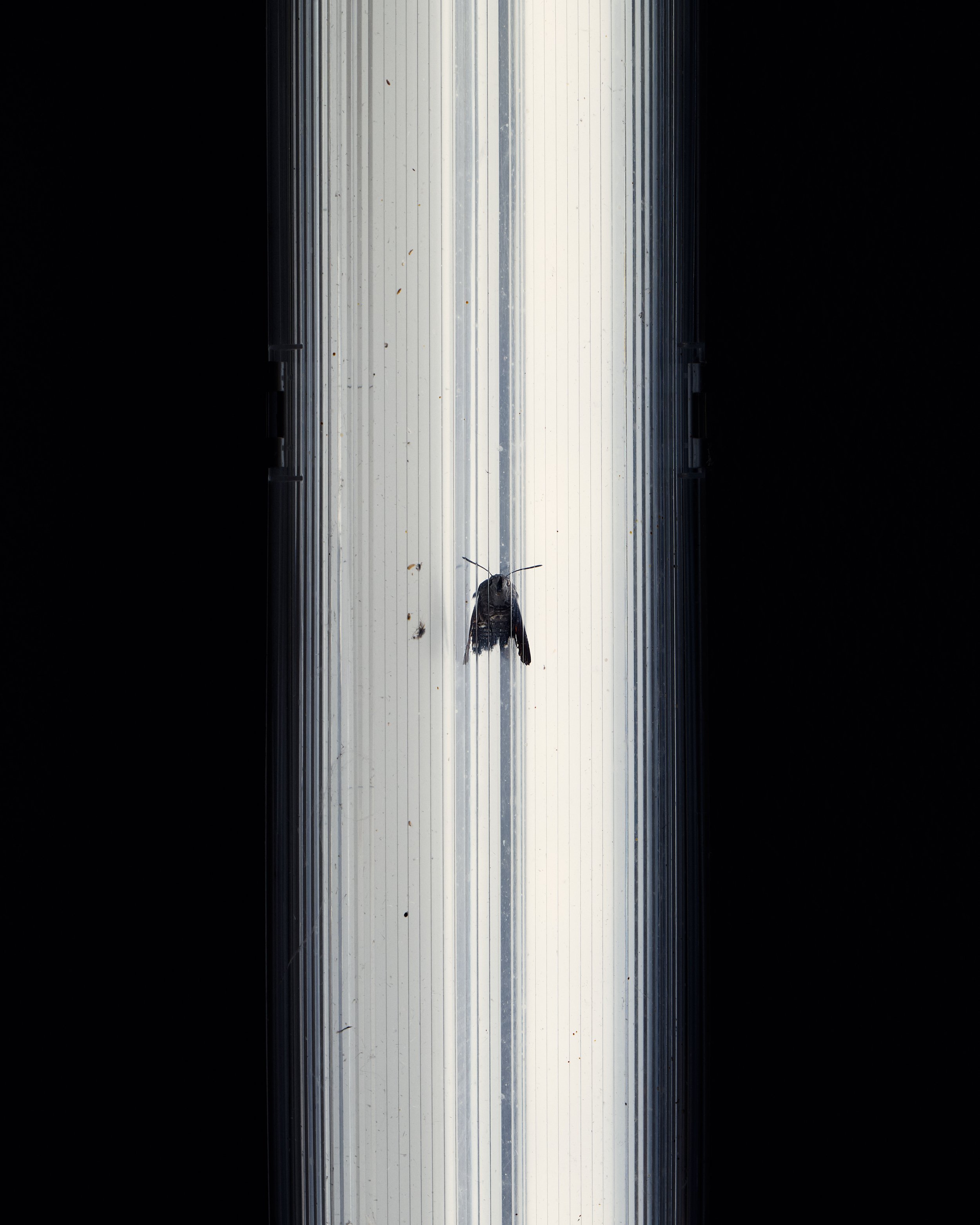 100x125- 5.jpg