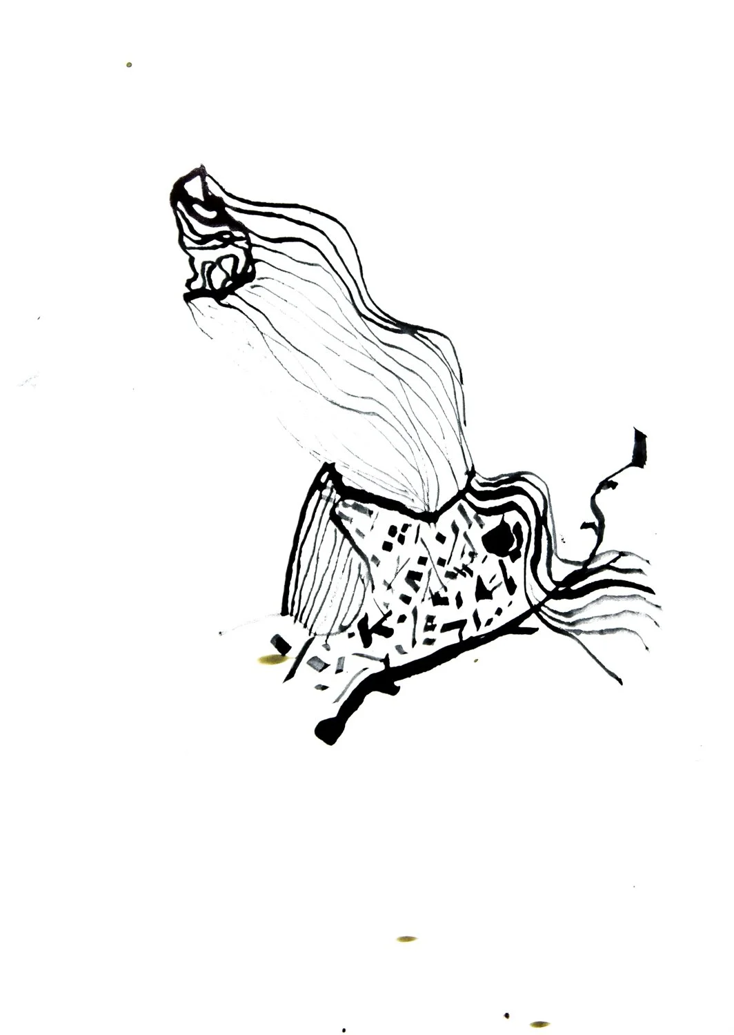 _-24.jpg