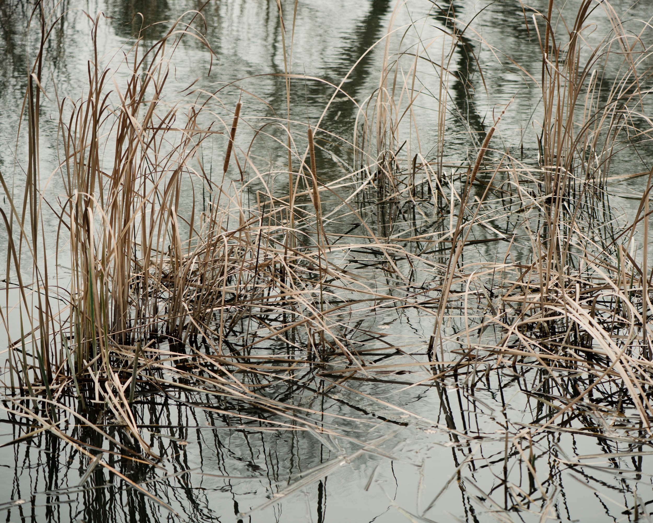 Lost in an artificial lake-7.jpg