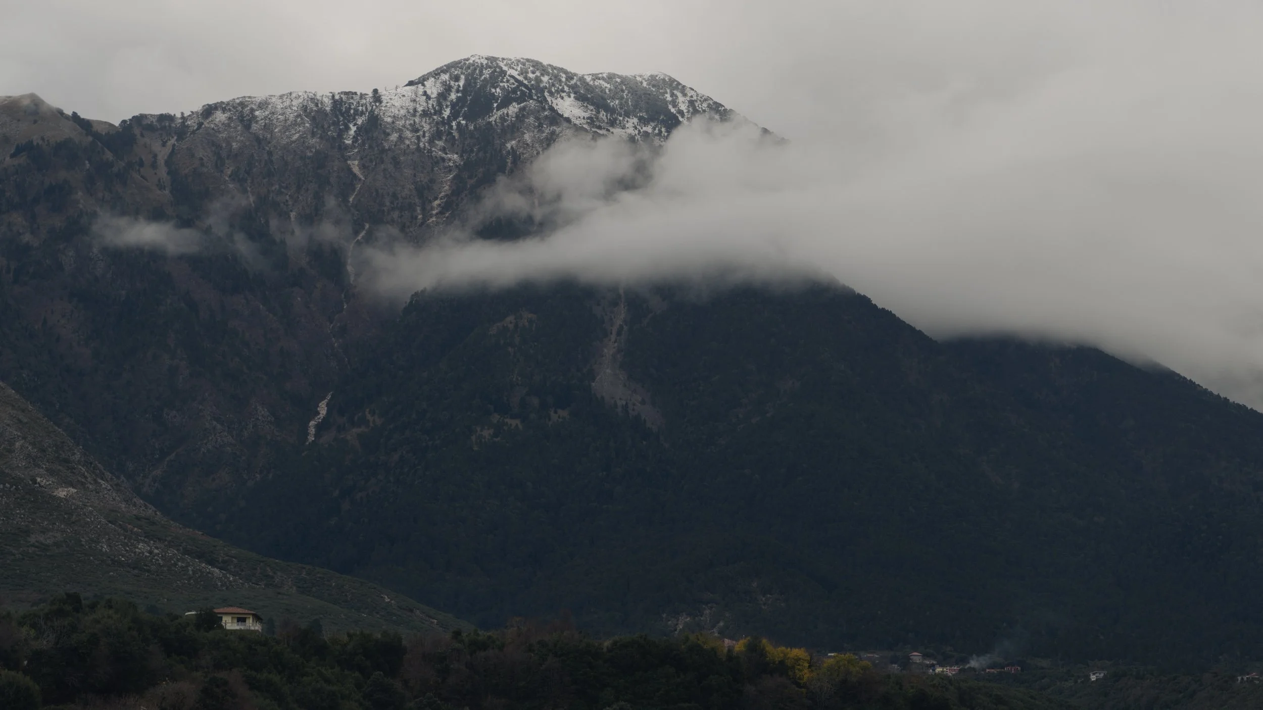 Reference shots-2.jpg