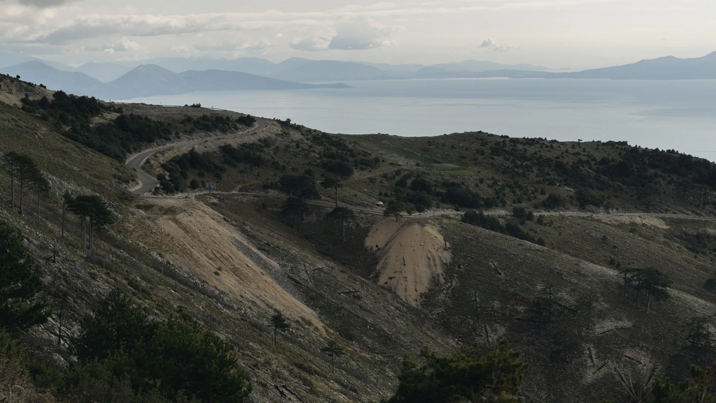 Reference shots-5.jpg