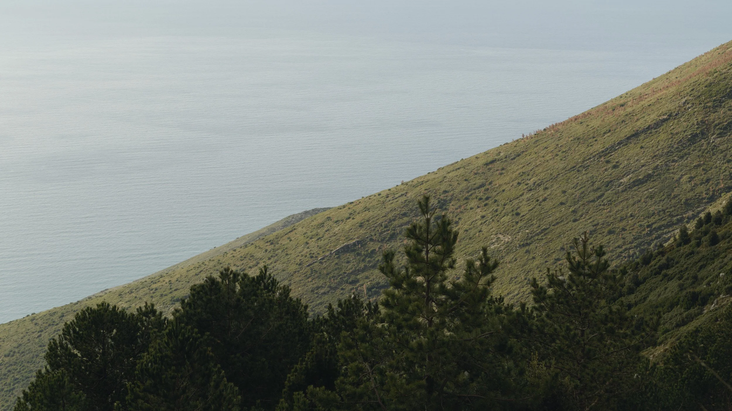 Reference shots-7.jpg