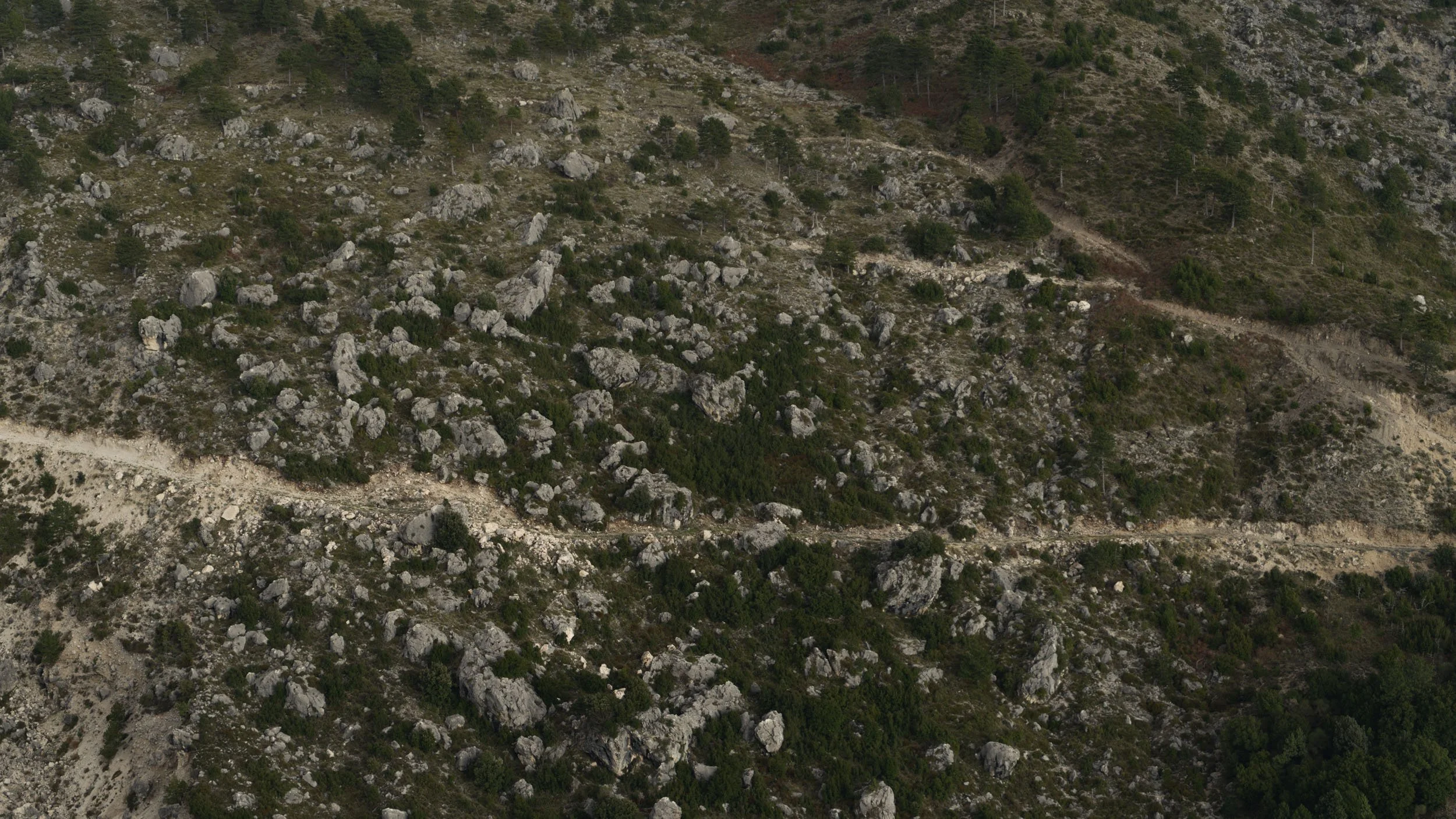 Reference shots-22.jpg