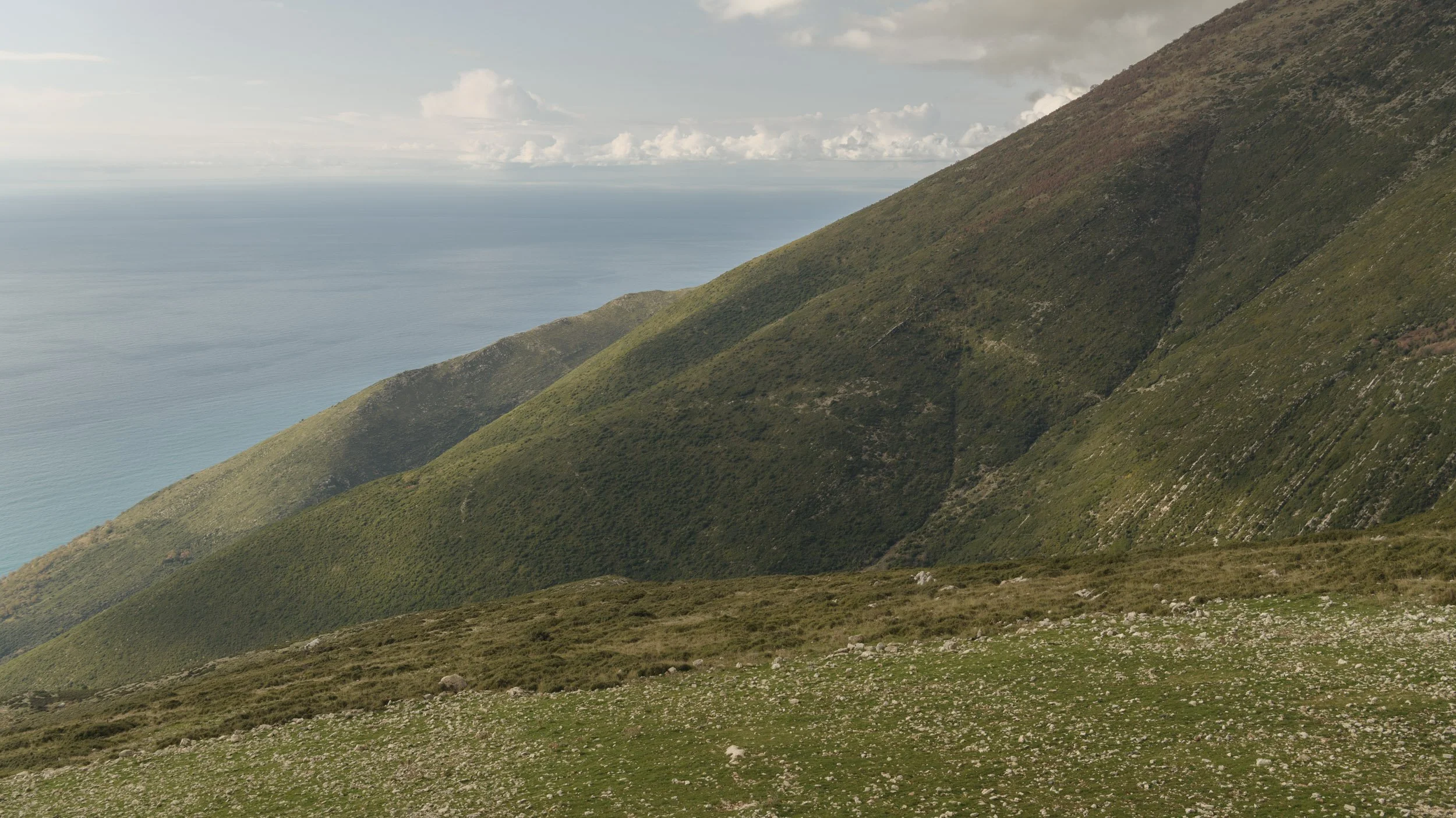 Reference shots-15.jpg