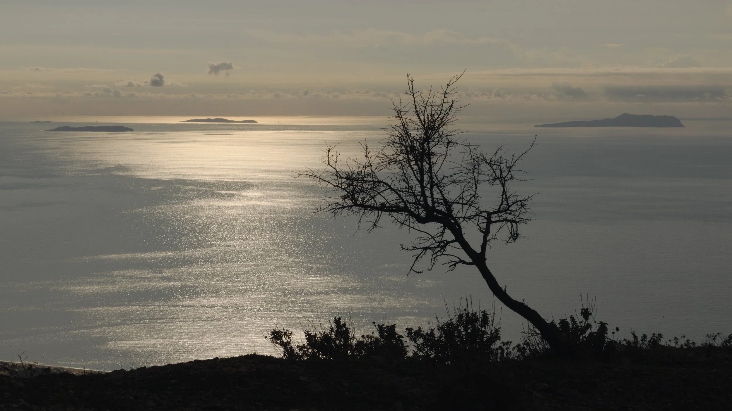 Reference shots-24.jpg