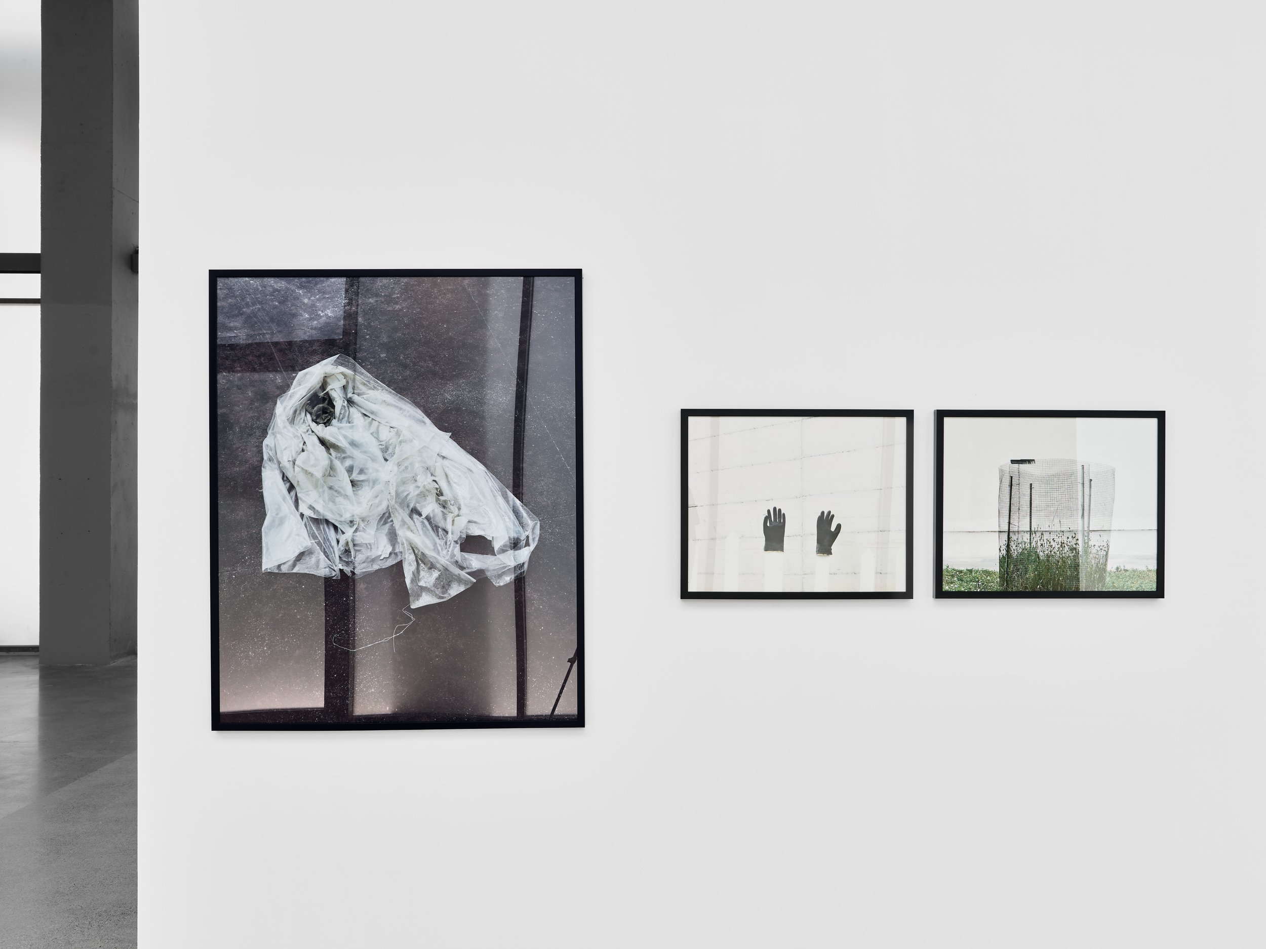 26-06-05- 65-Web-Series-Exhibition-Ne lule te rinise.jpg