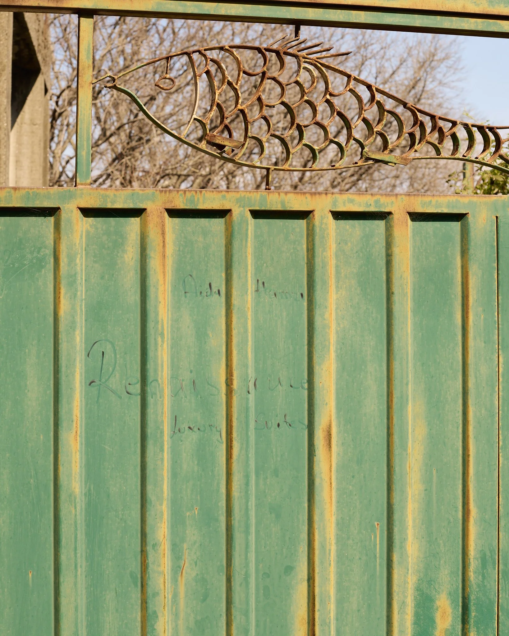 Zogaj-26-03-25- 14.jpg