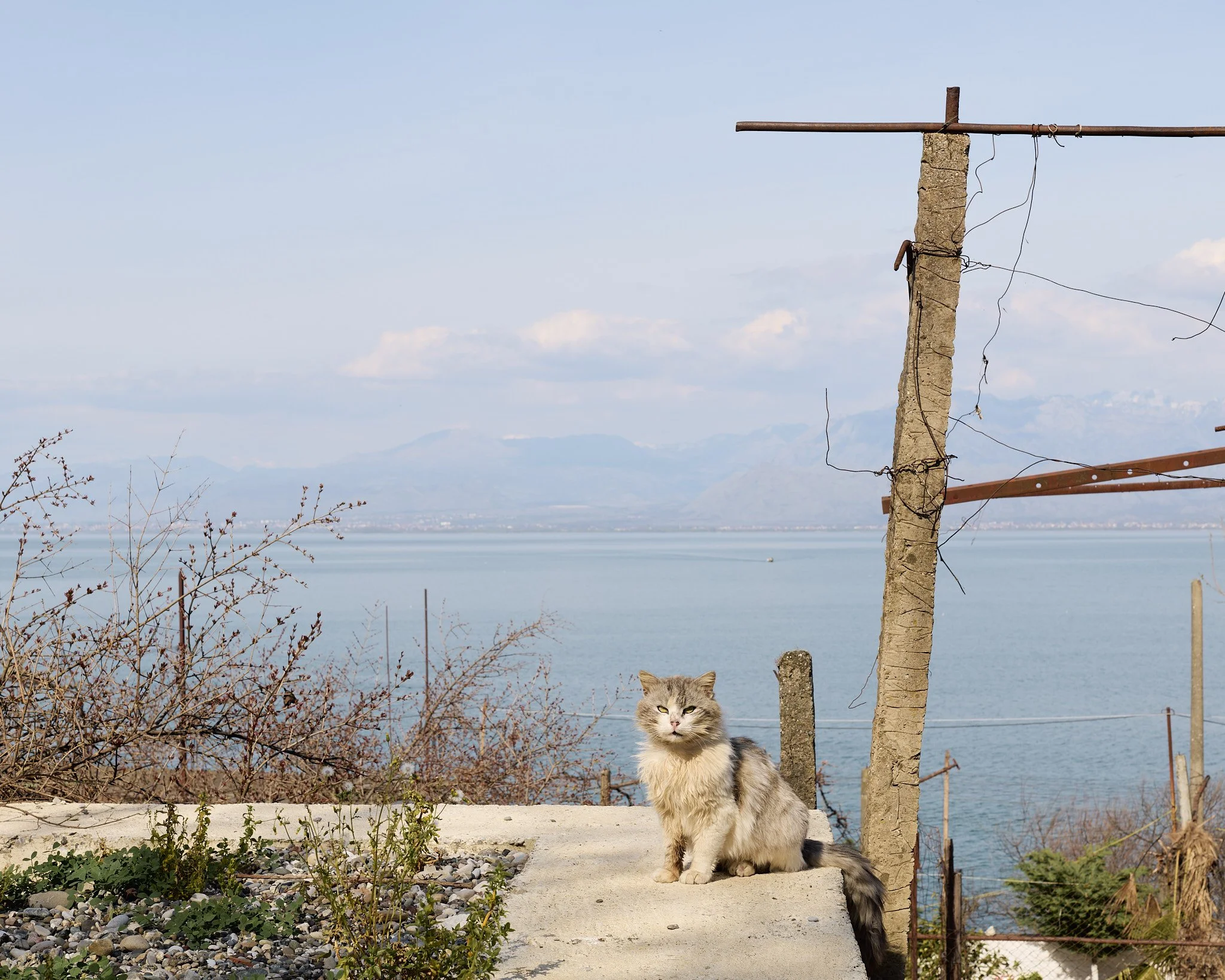 Zogaj-26-03-25- 23.jpg