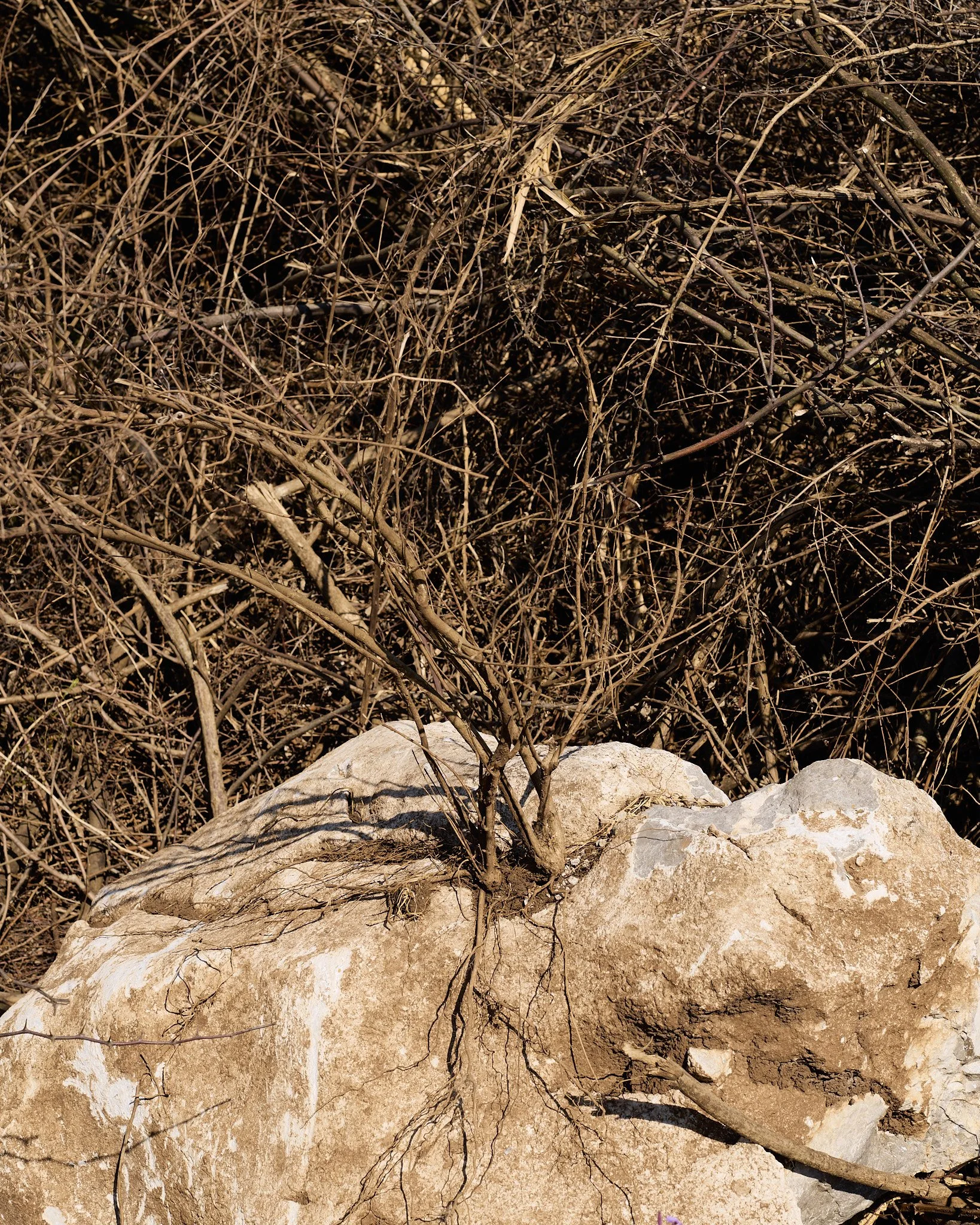 Zogaj-26-03-25- 3.jpg