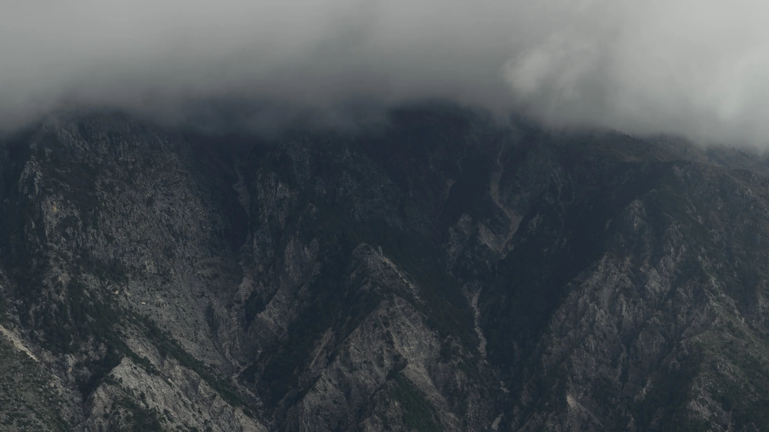 Reference shots-12.jpg