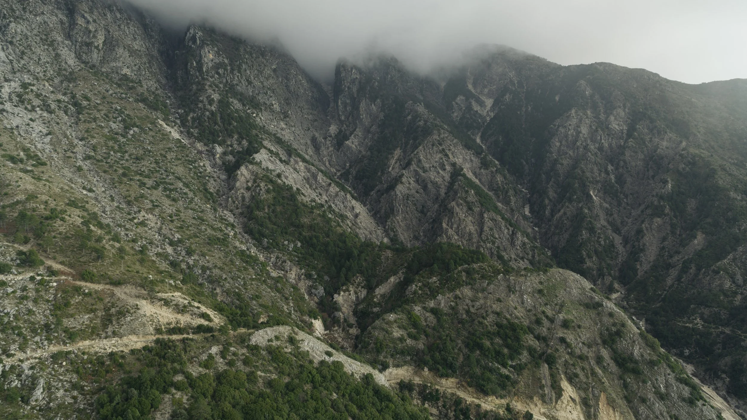 Reference shots-18.jpg