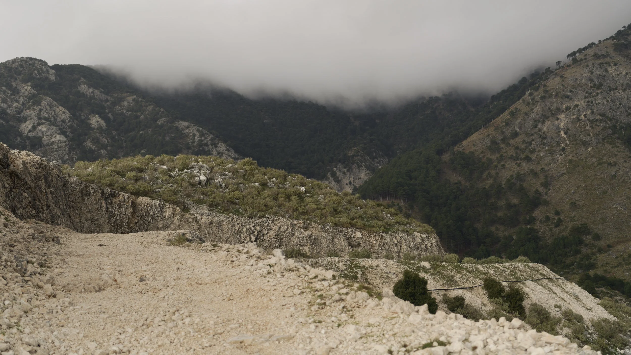 Reference shots-21.jpg