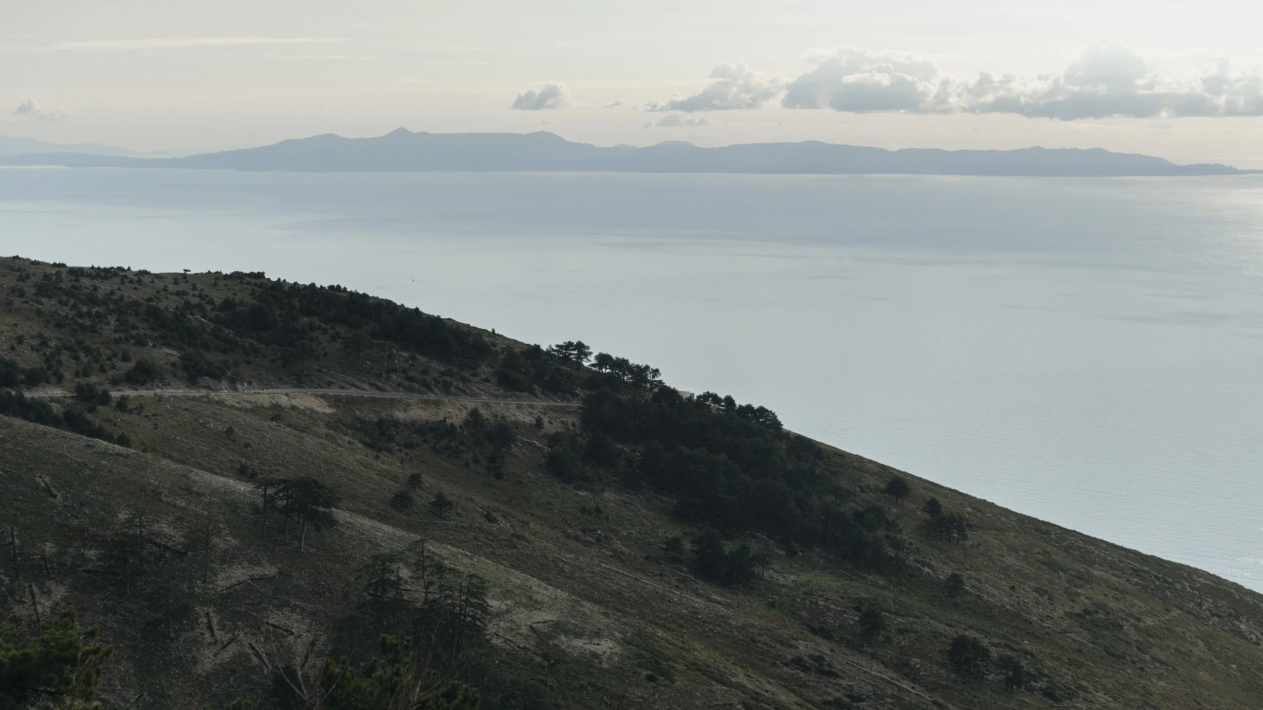 Reference shots-6.jpg