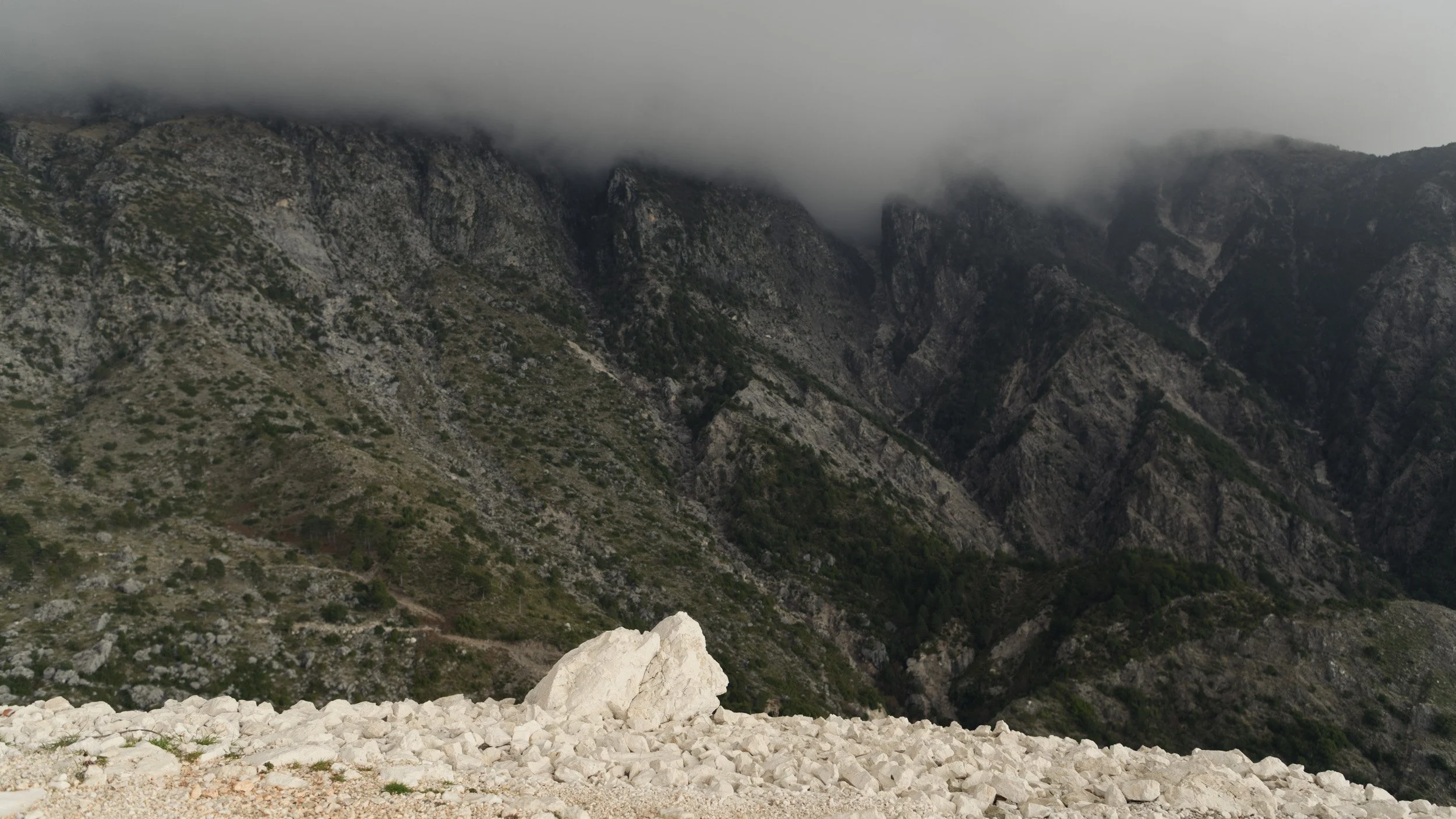 Reference shots-20.jpg