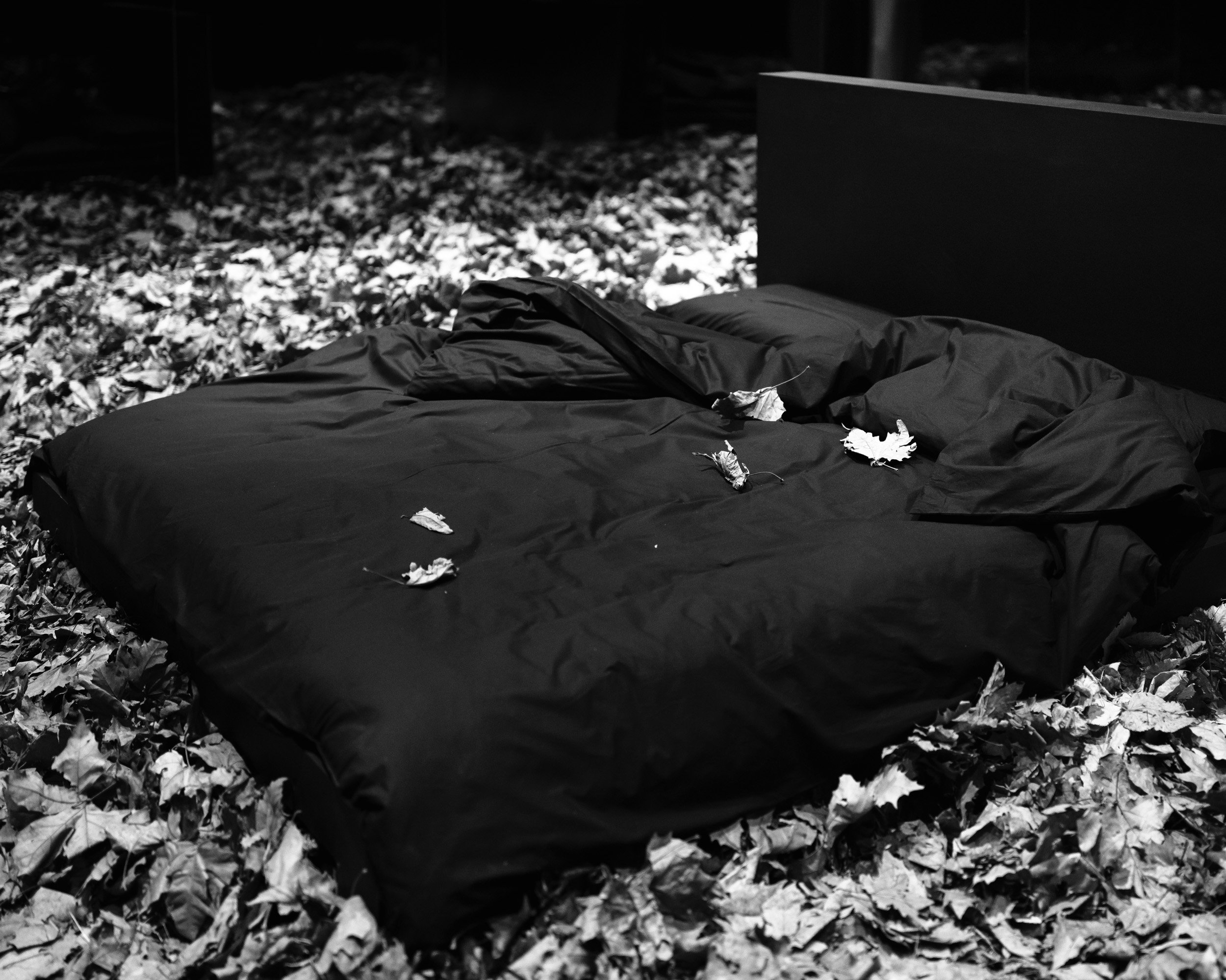 WEB-Commissions-Roads-Arkond Canaj-Exhibition-7.jpg