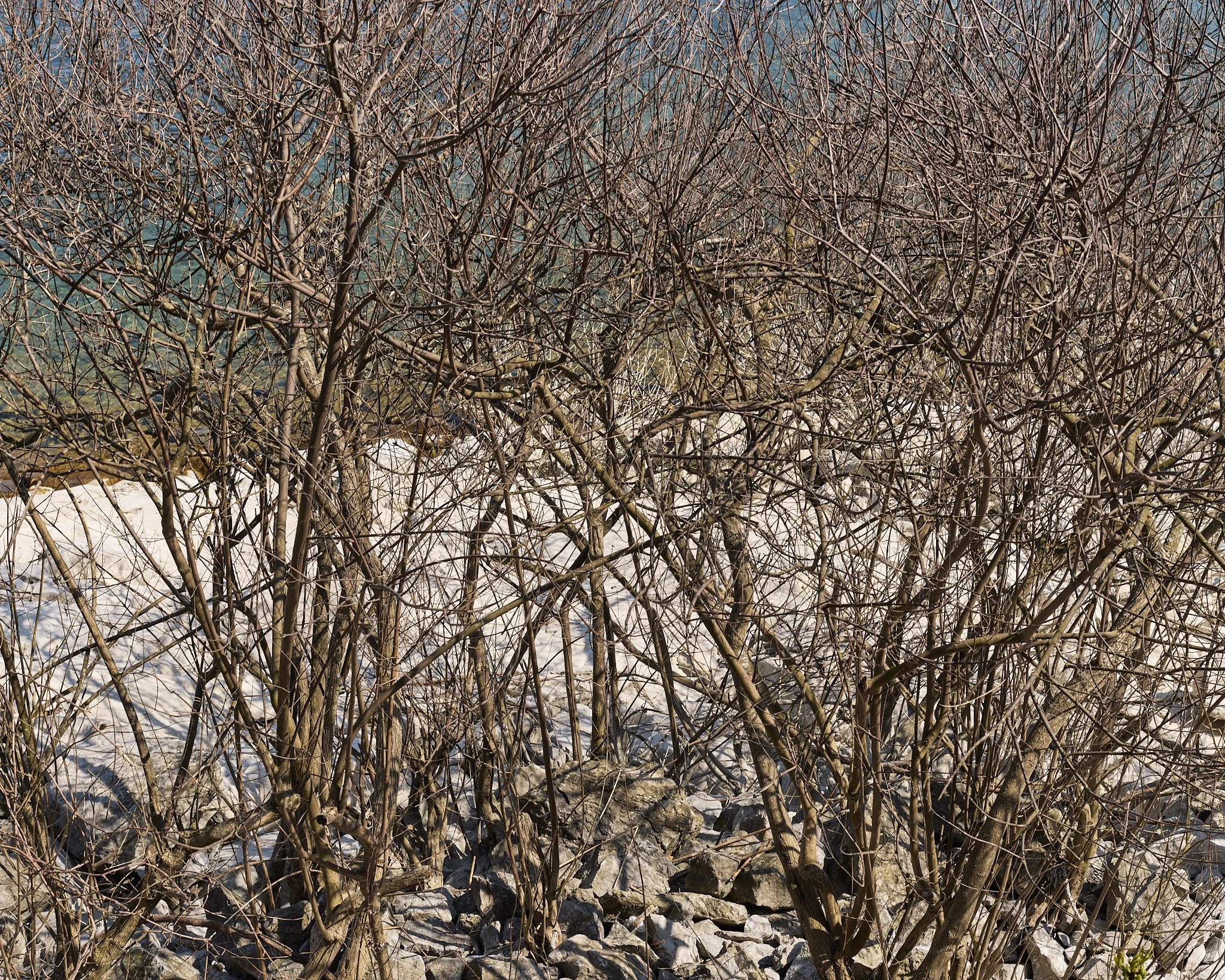 Zogaj-26-03-25- 11.jpg