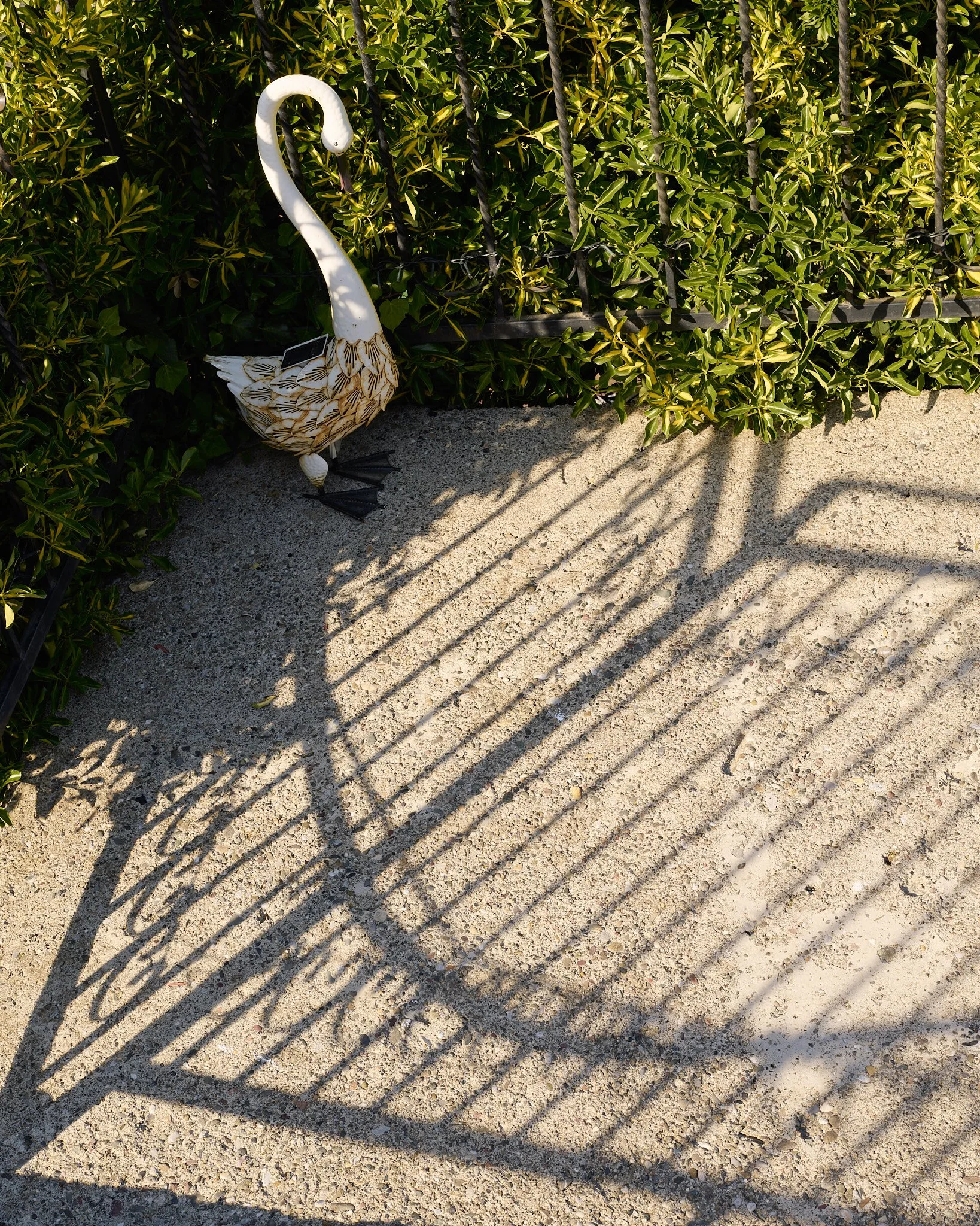 Zogaj-26-03-25- 29.jpg