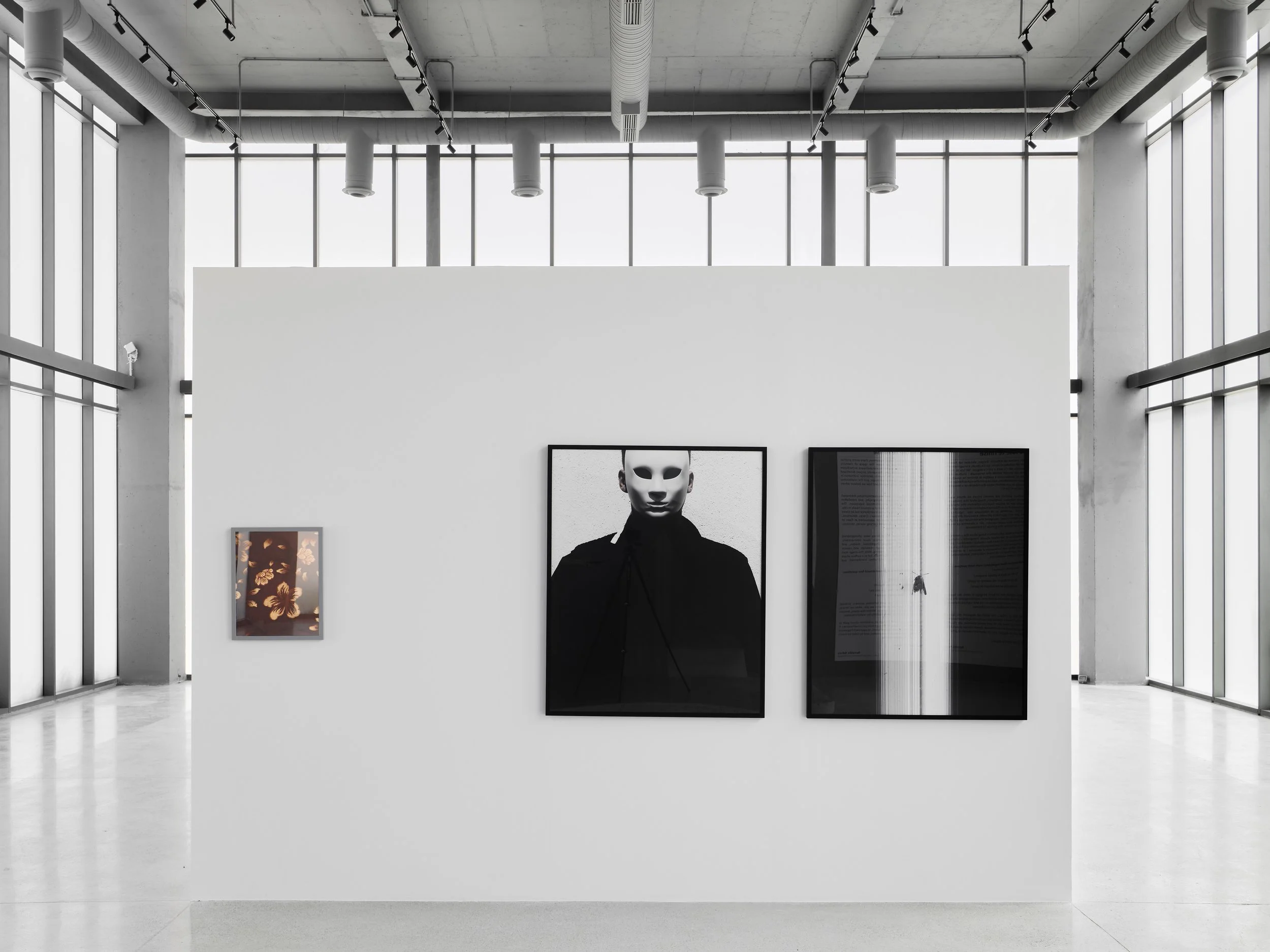 26-06-05- 14-Web-Series-Exhibition-Ne lule te rinise 2.jpg