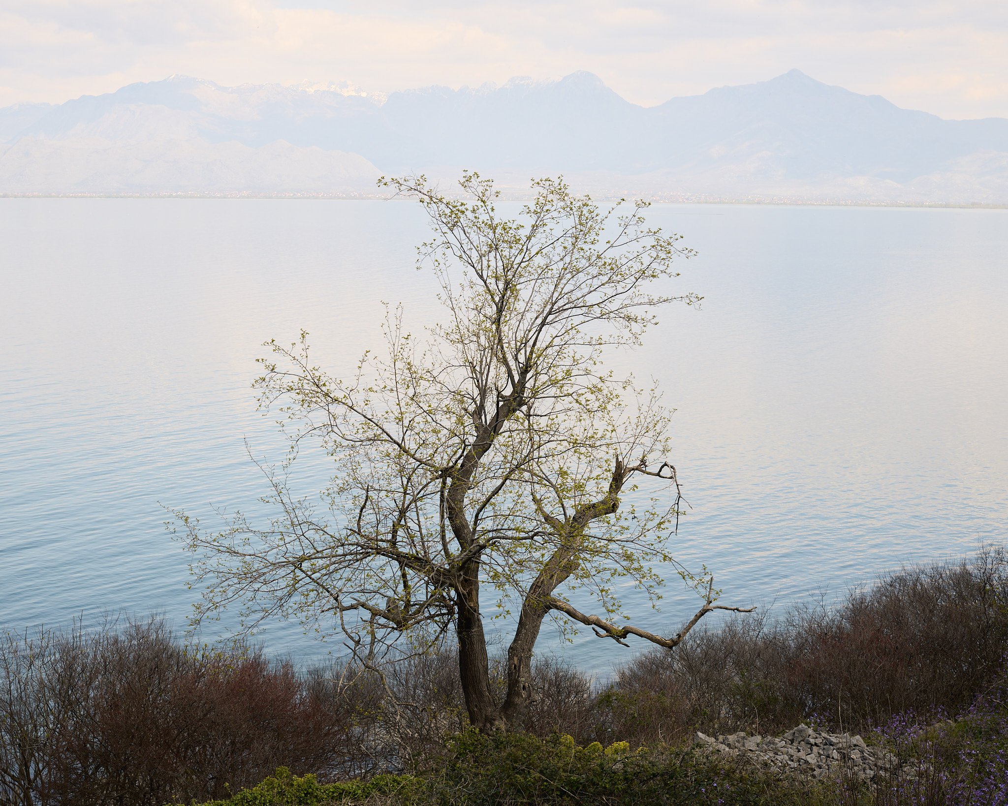 Zogaj-26-03-25- 15.jpg