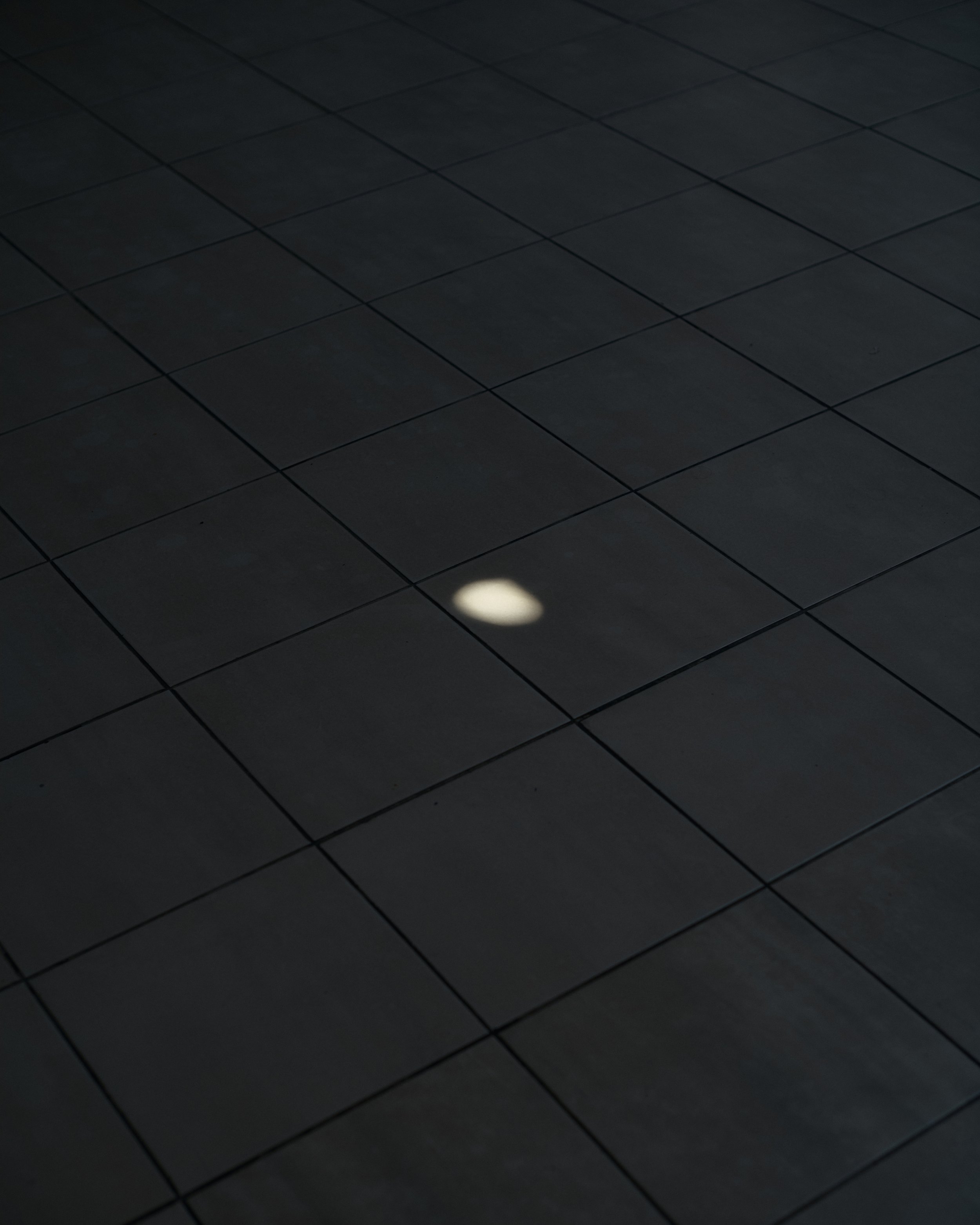 40x50- 5.jpg