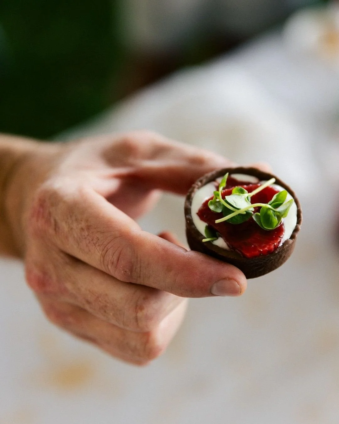 🍷✨ Traverse City Food & Wine: A Stunning Debut ✨🌊
Aug 20–24, 2025 | Northern Michigan
⠀
Food lovers from 34 states came to celebrate the flavors of Michigan—100+ local wines, farm-fresh bites, celeb chefs like Tyler Florence & A