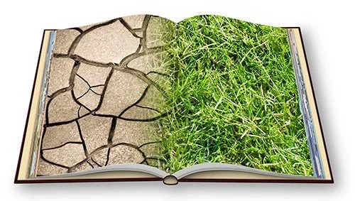 The Obnoxious Truth of Climate Change