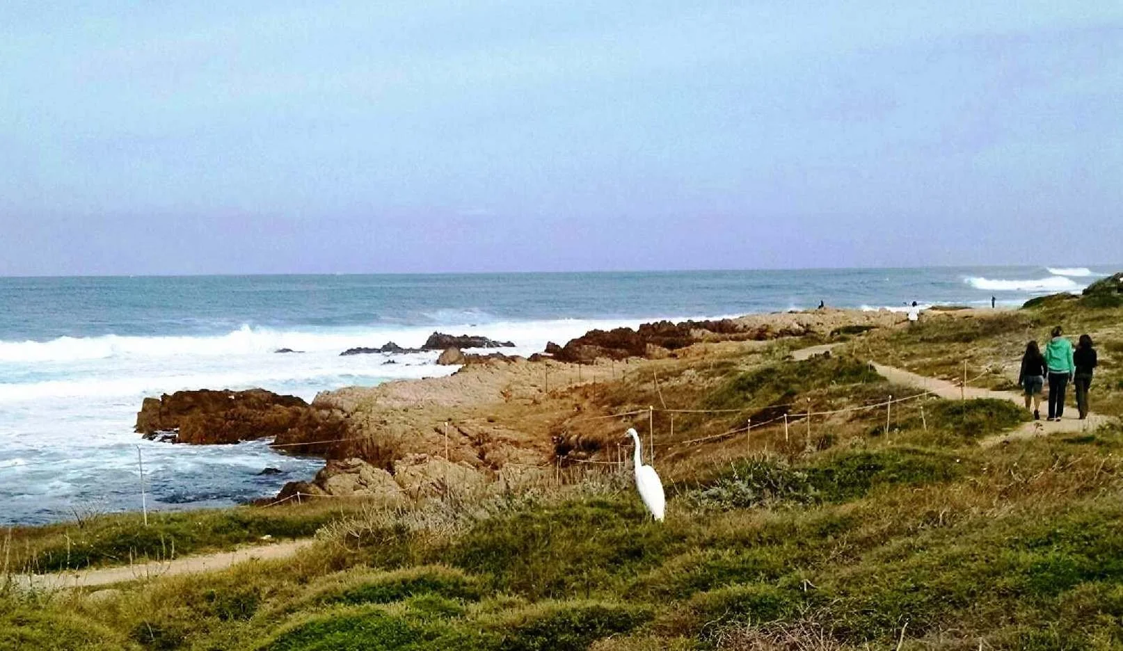 Beauty, Solitude, Community, Mentorship