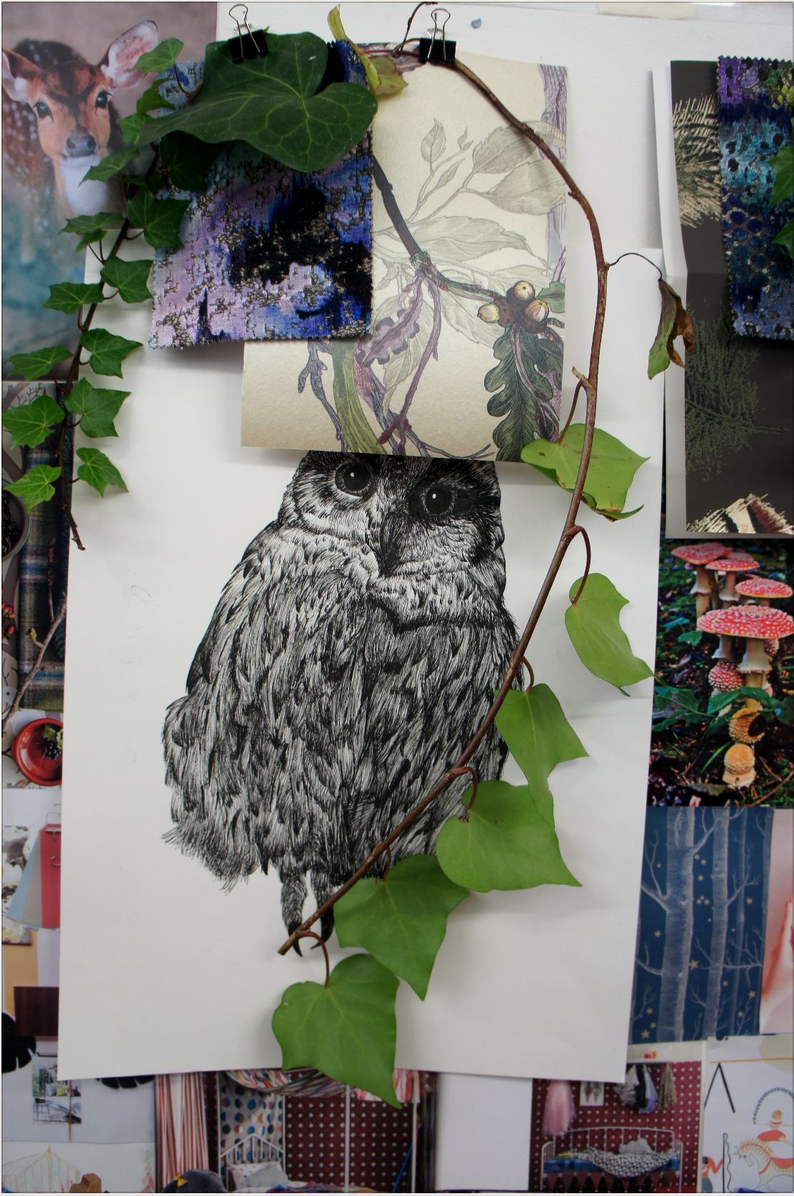 Bay-display-owl.png