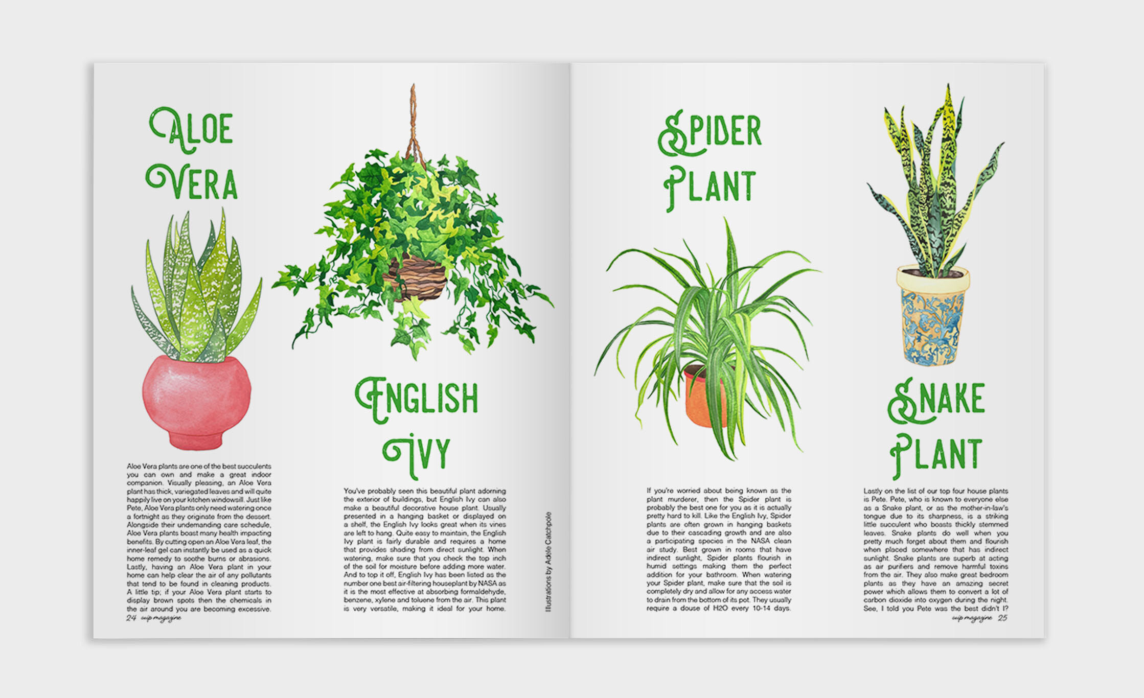 Plants-P1.jpg