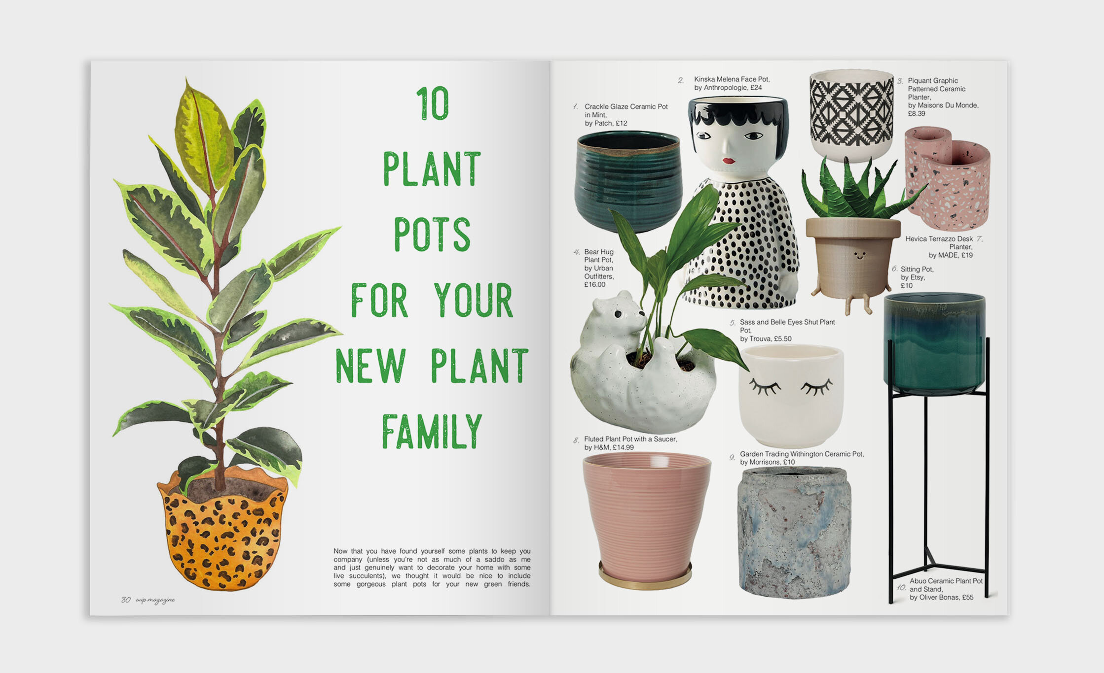 Planyts-P2.jpg