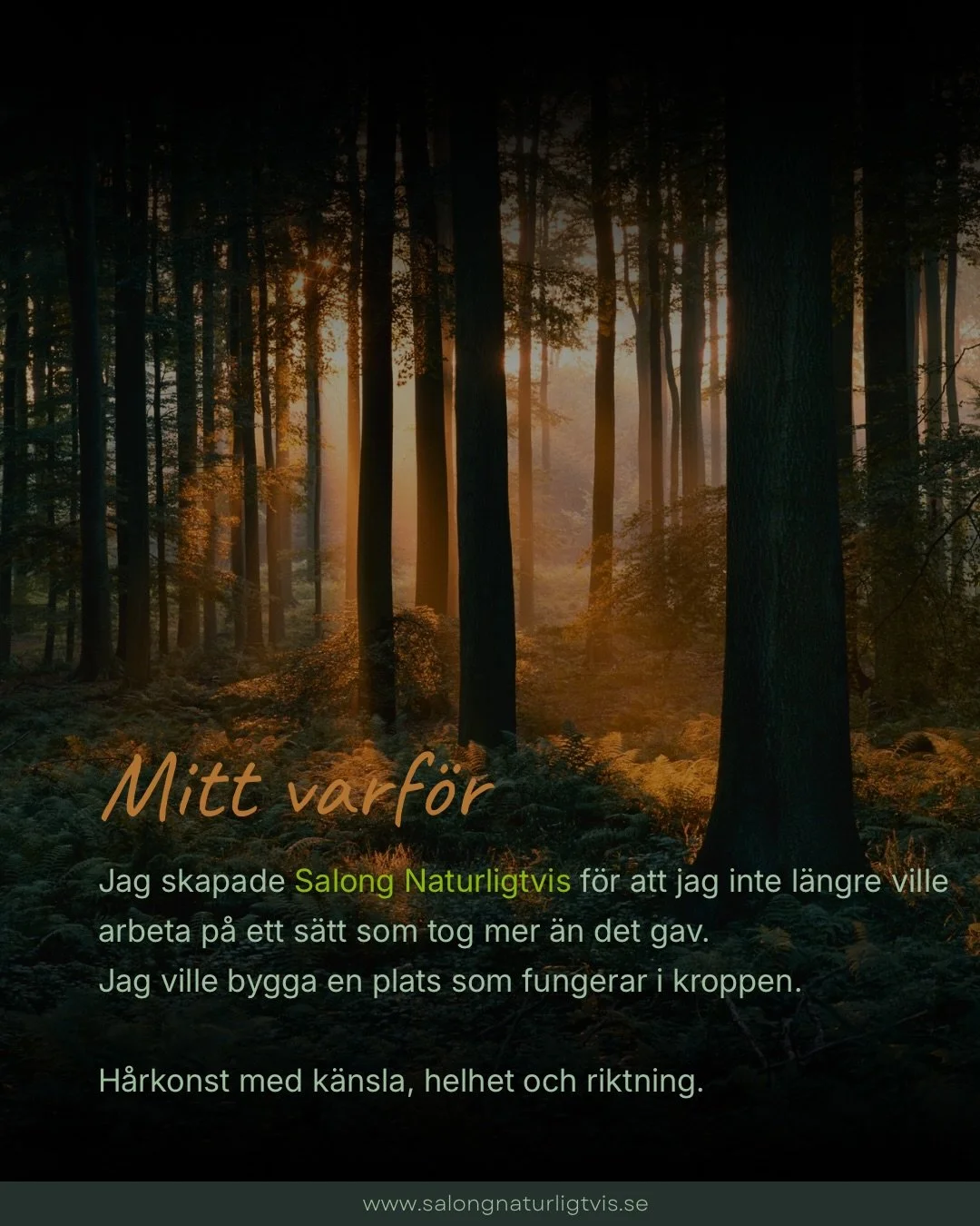 Det h&auml;r &auml;r min v&auml;g. Min filosofi. ✨✍🏼

Jag skapade Salong Naturligtvis f&ouml;r att arbeta p&aring; ett s&auml;tt som h&aring;ller &ouml;ver tid.
F&ouml;r kroppen. F&ouml;r hantverket. F&ouml;r m&auml;nniskan i stolen. 💚

#sollefte&a