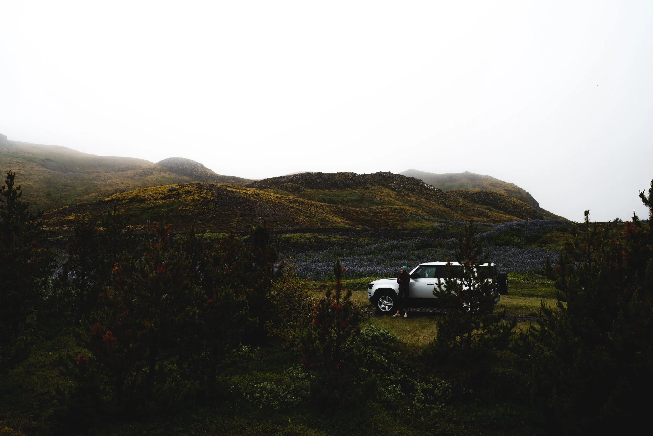DSC06881.jpg