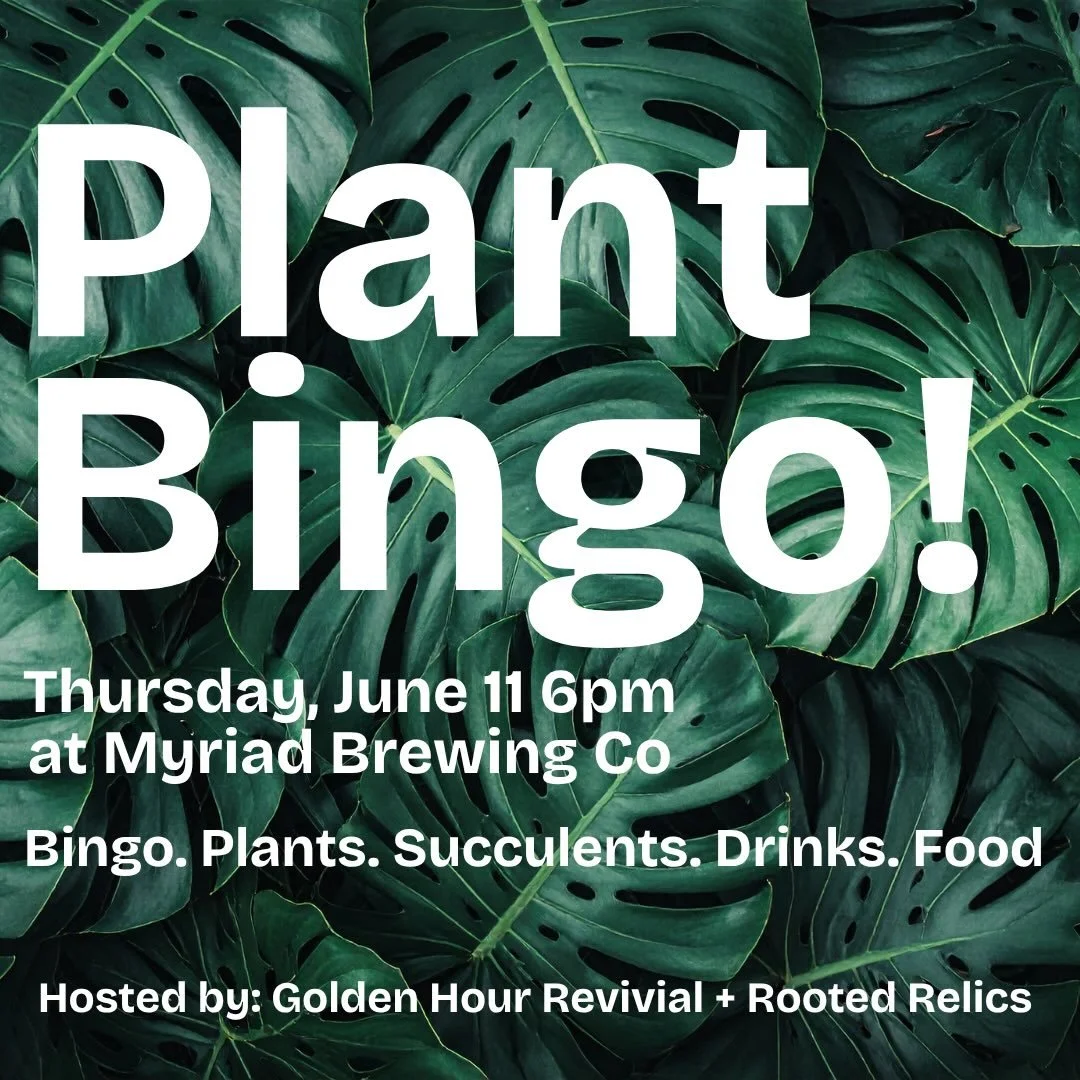 Tonight! 🍻

Get ready for a night that&rsquo;s equal parts relaxing, social, and a little bit competitive. Plant Bingo is here!

Join us for a free-to-play bingo night featuring 10 rounds with prizes.

Whether you&rsquo;re a seasoned bingo pro or ju