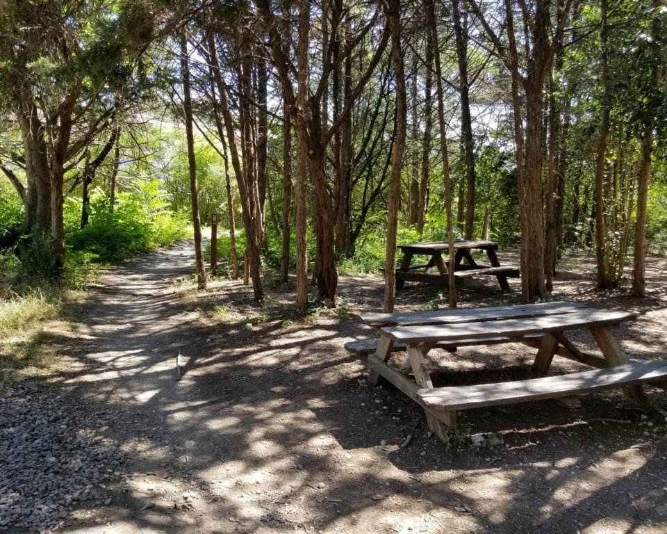 Oak+Cliff+Nature+Preserve+picnic+tables.jpg