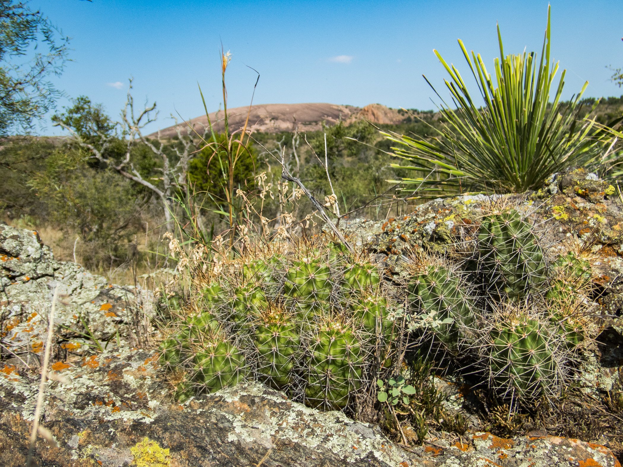 HC_GillespieCounty_EnchantedRockView_la_ramirez5.jpg