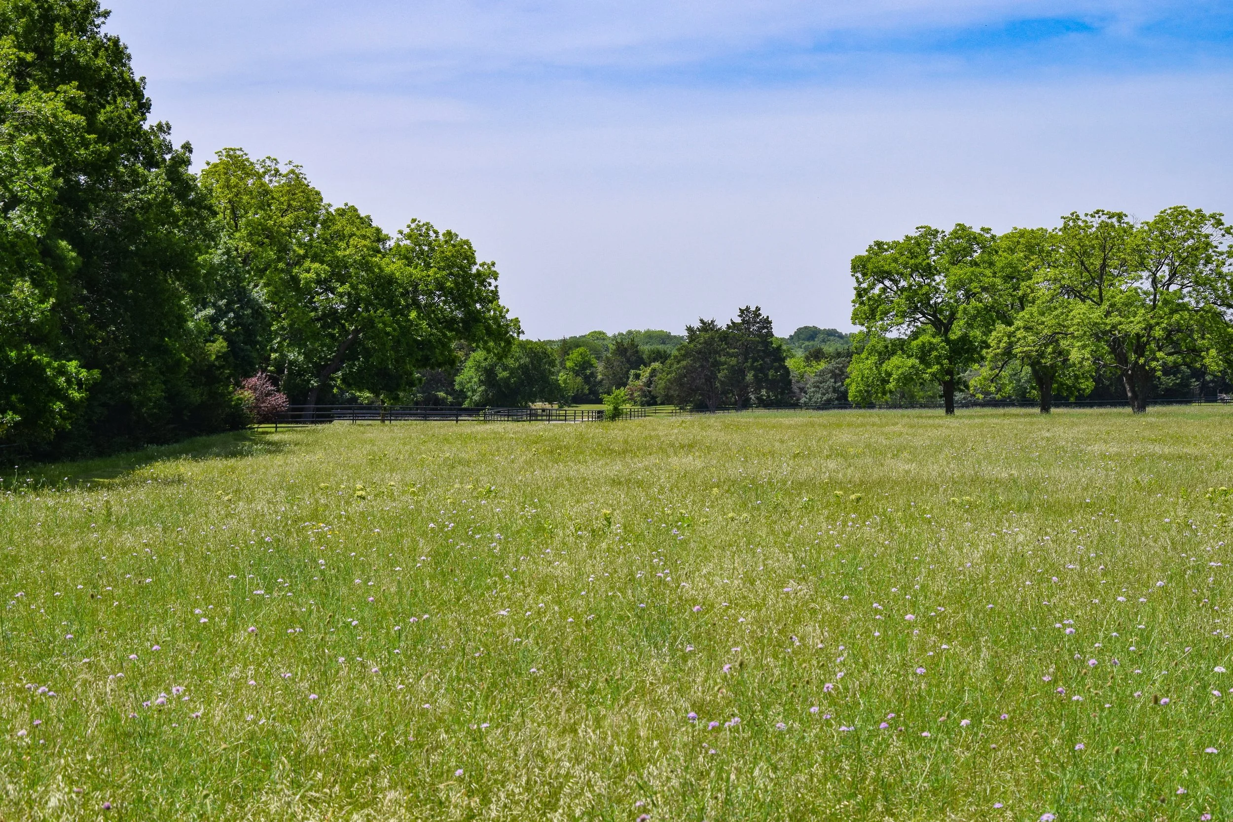 123 Acres of Urban Sanctuary Protected Forever
