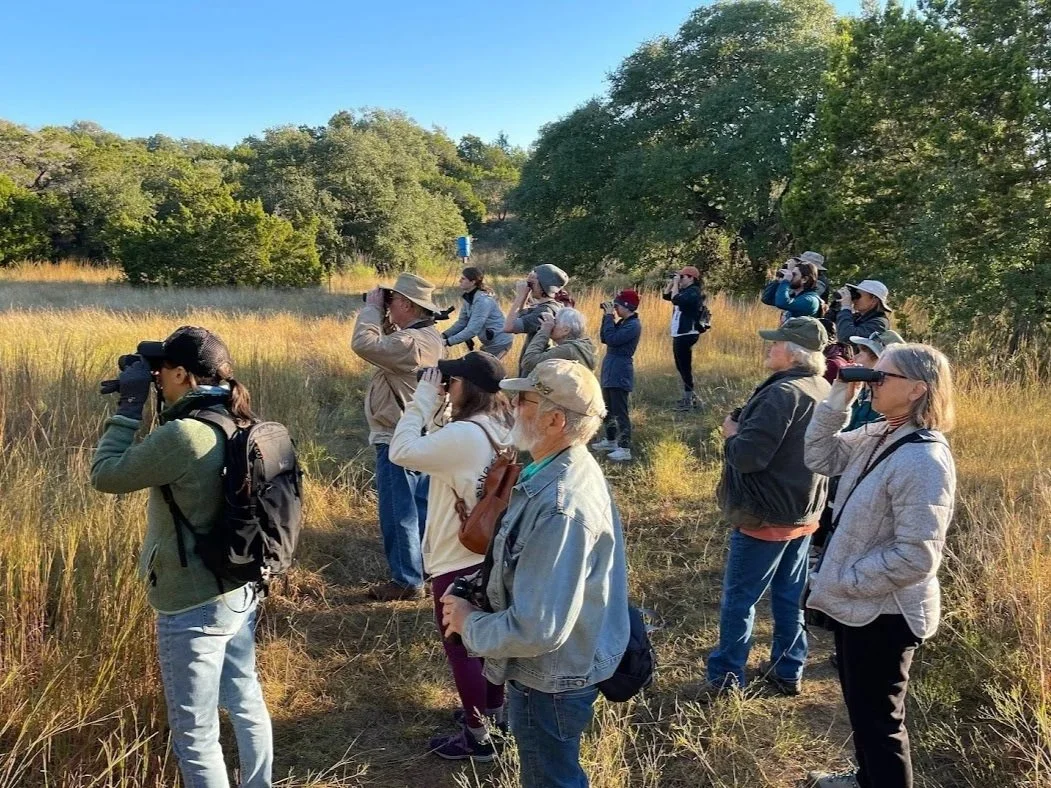 Birding at Los Madrones