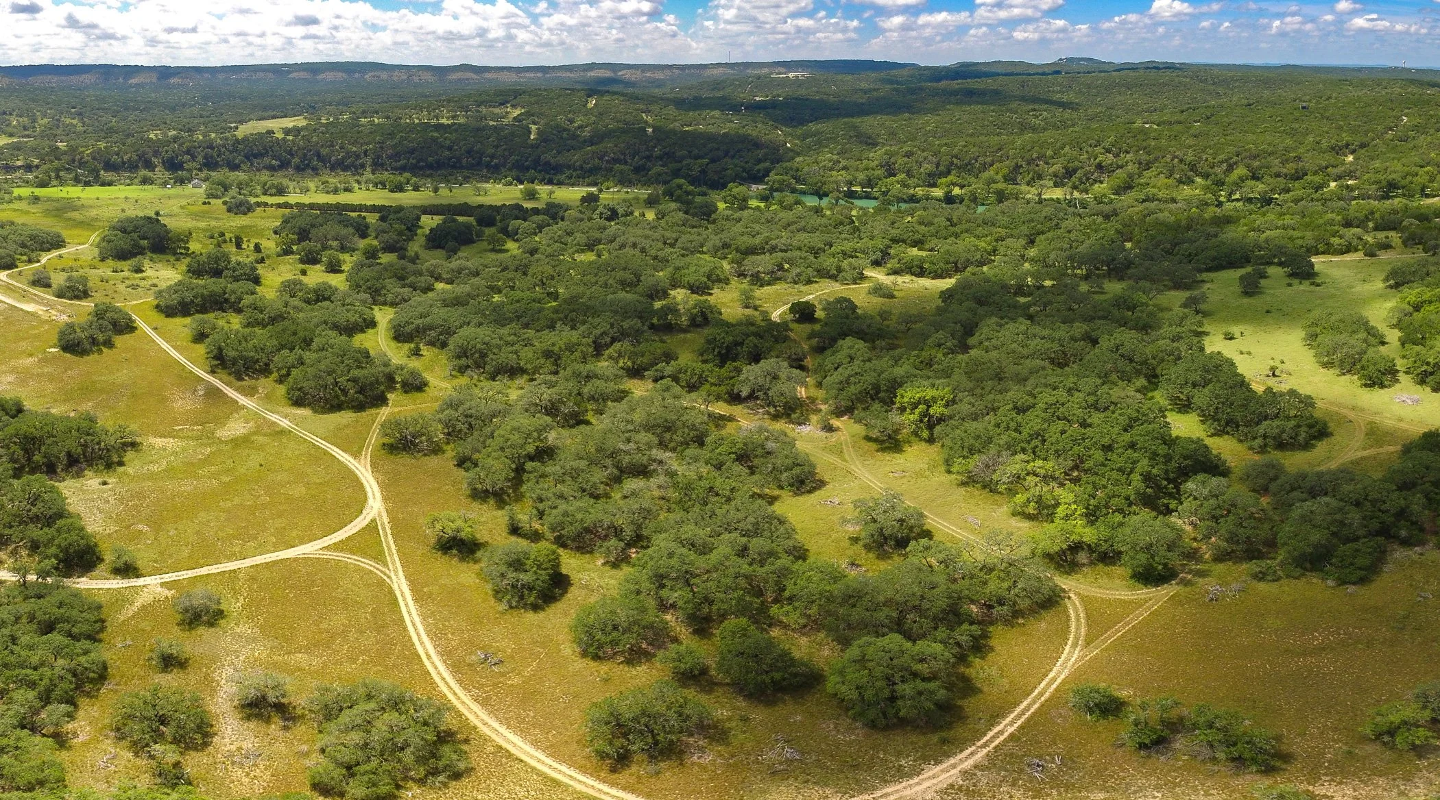 Bird and Nature Hike at Cathedral Oaks