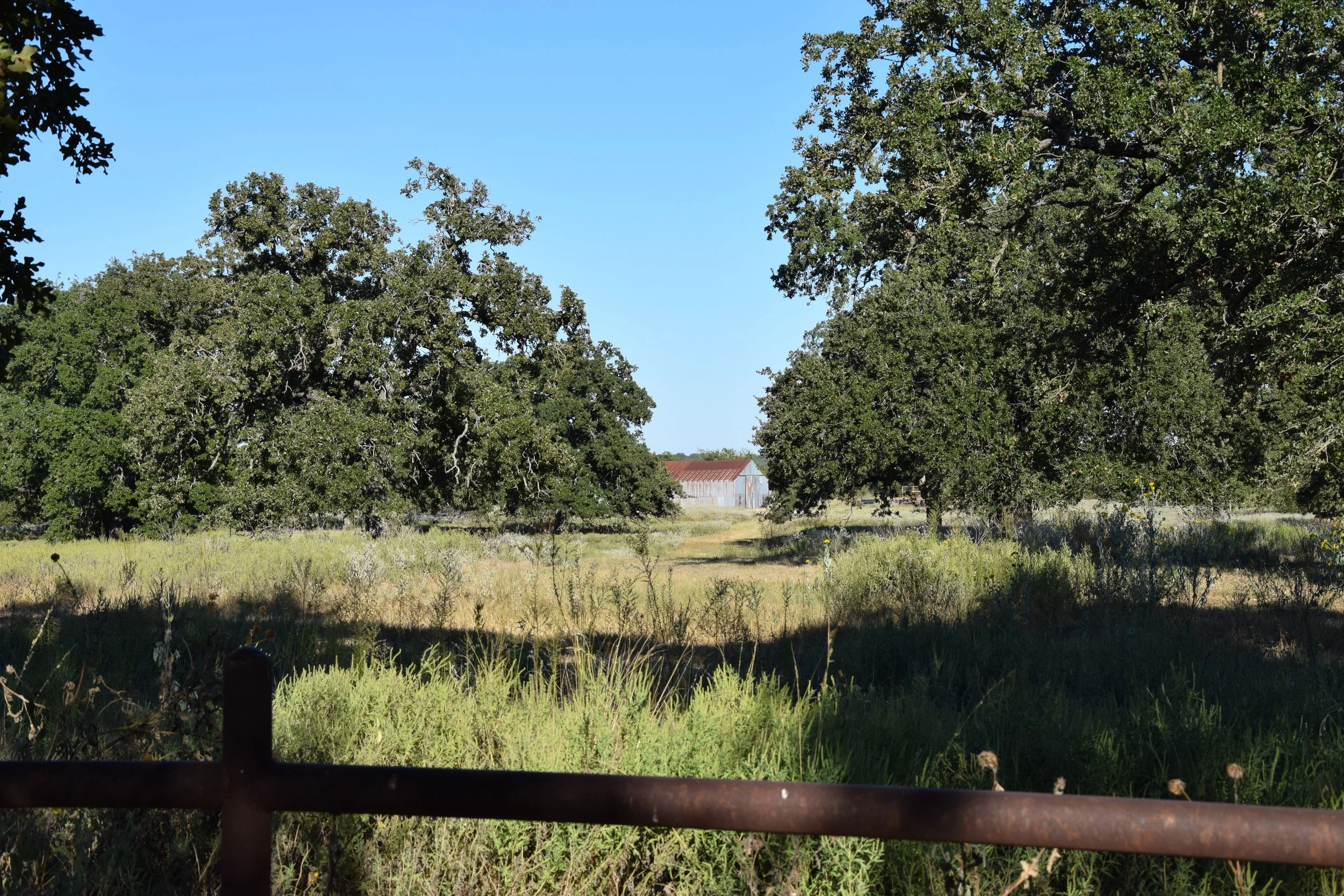 NT_2025_Casting for Conservation_Little L_Cearley (22).JPG