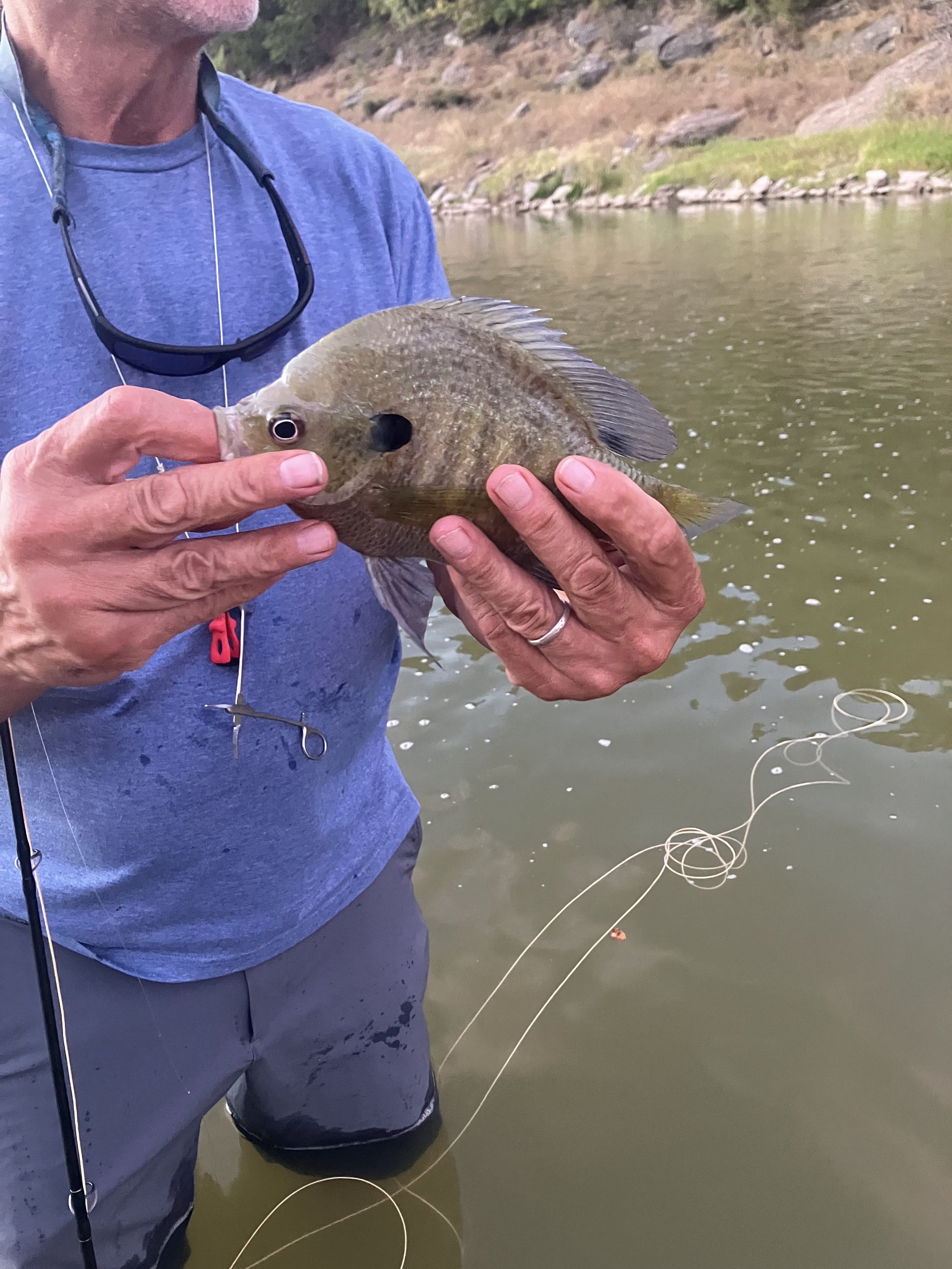 NT_2025_Casting for Conservation_Fish_Mullins.jpg