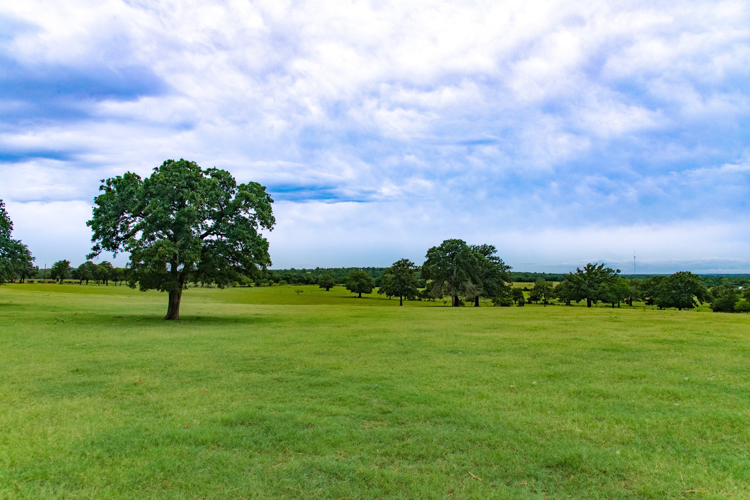 310 Acres of Working Lands Protected Forever