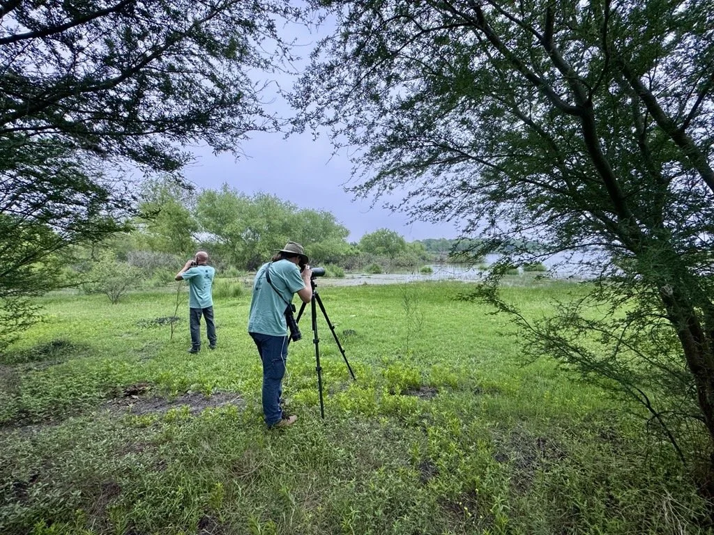 Birding for Conservation