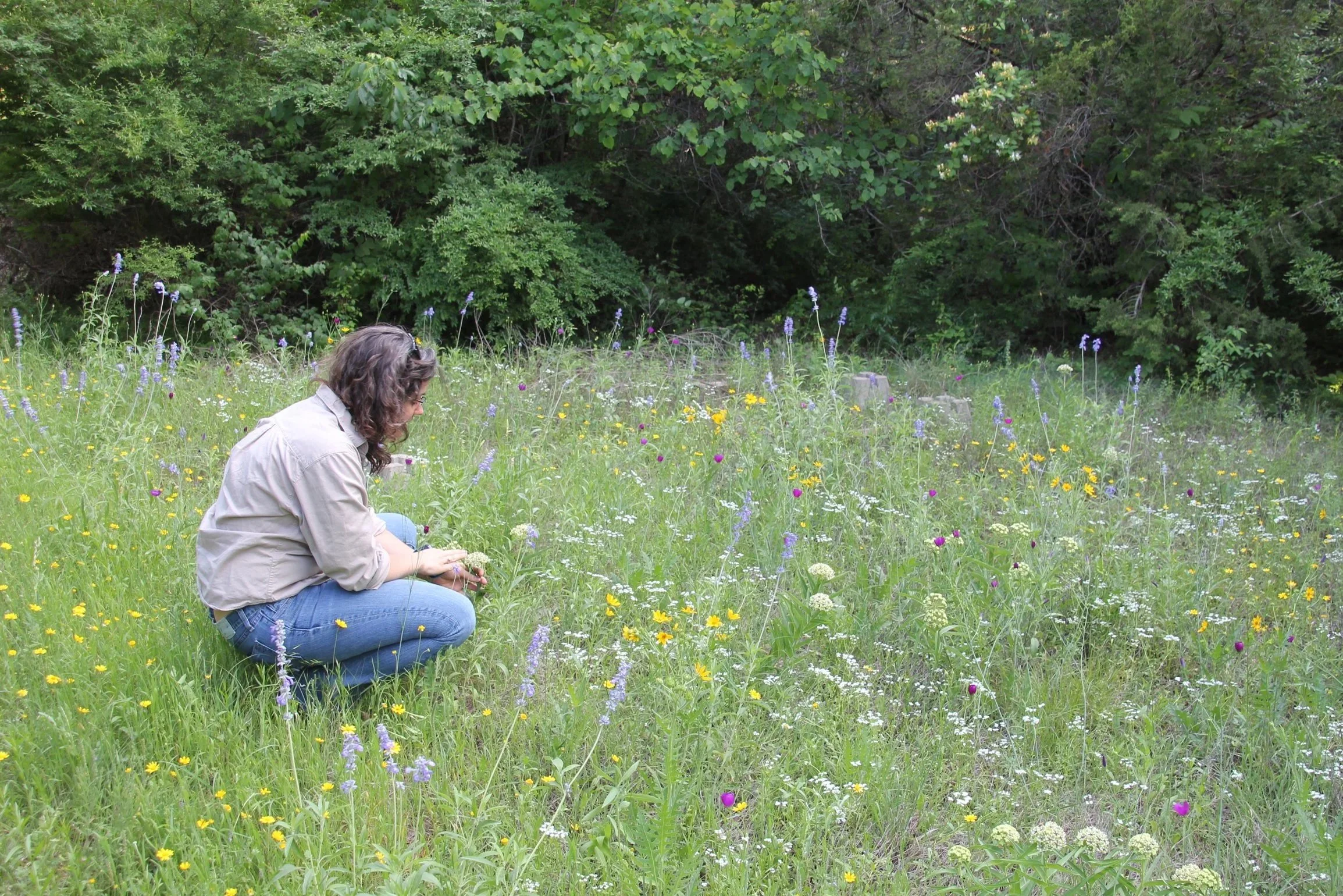 Pollinator Walk at Oak Cliff Nature Preserve