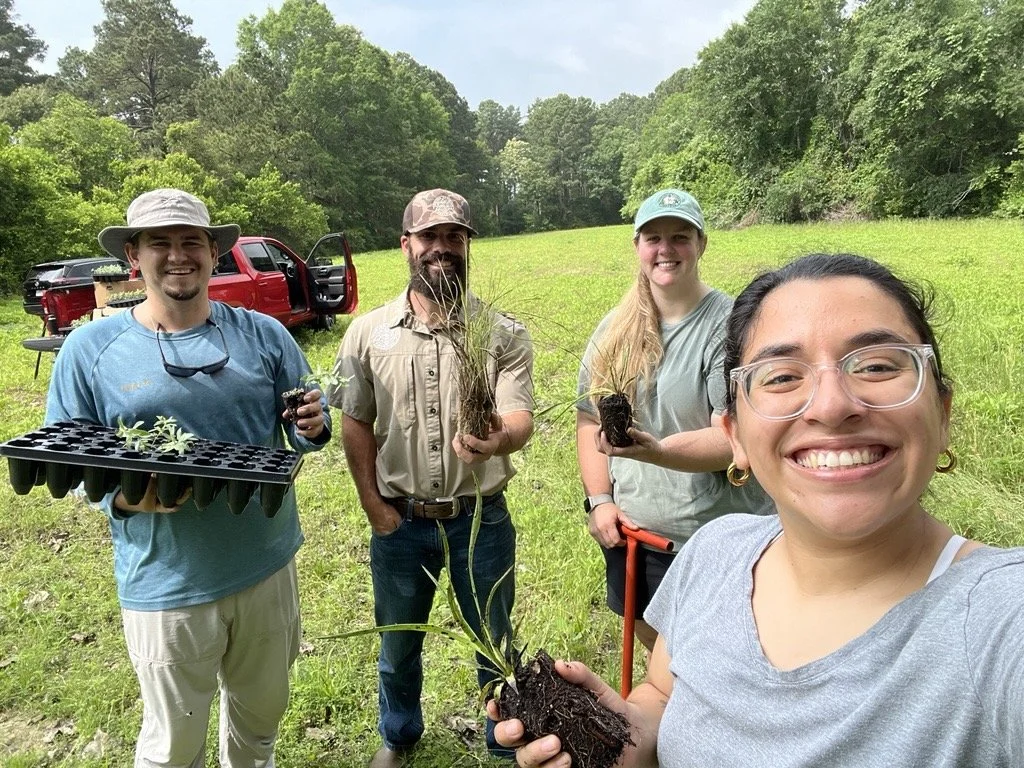 Growing Hope for Monarchs