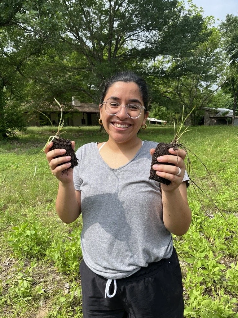 Daniela holding rattlesnake master plugs.