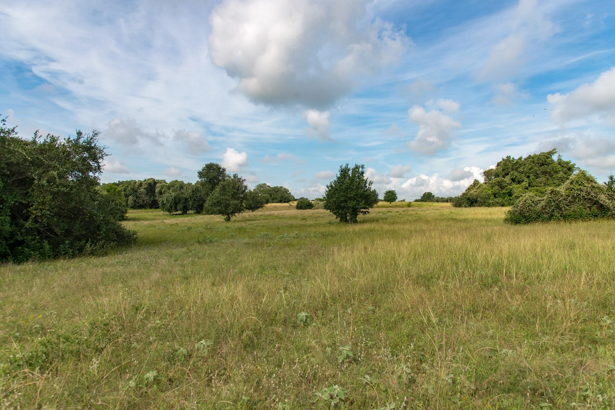 ET_Martinek Farm_Landscape_Ramirez (1).jpg